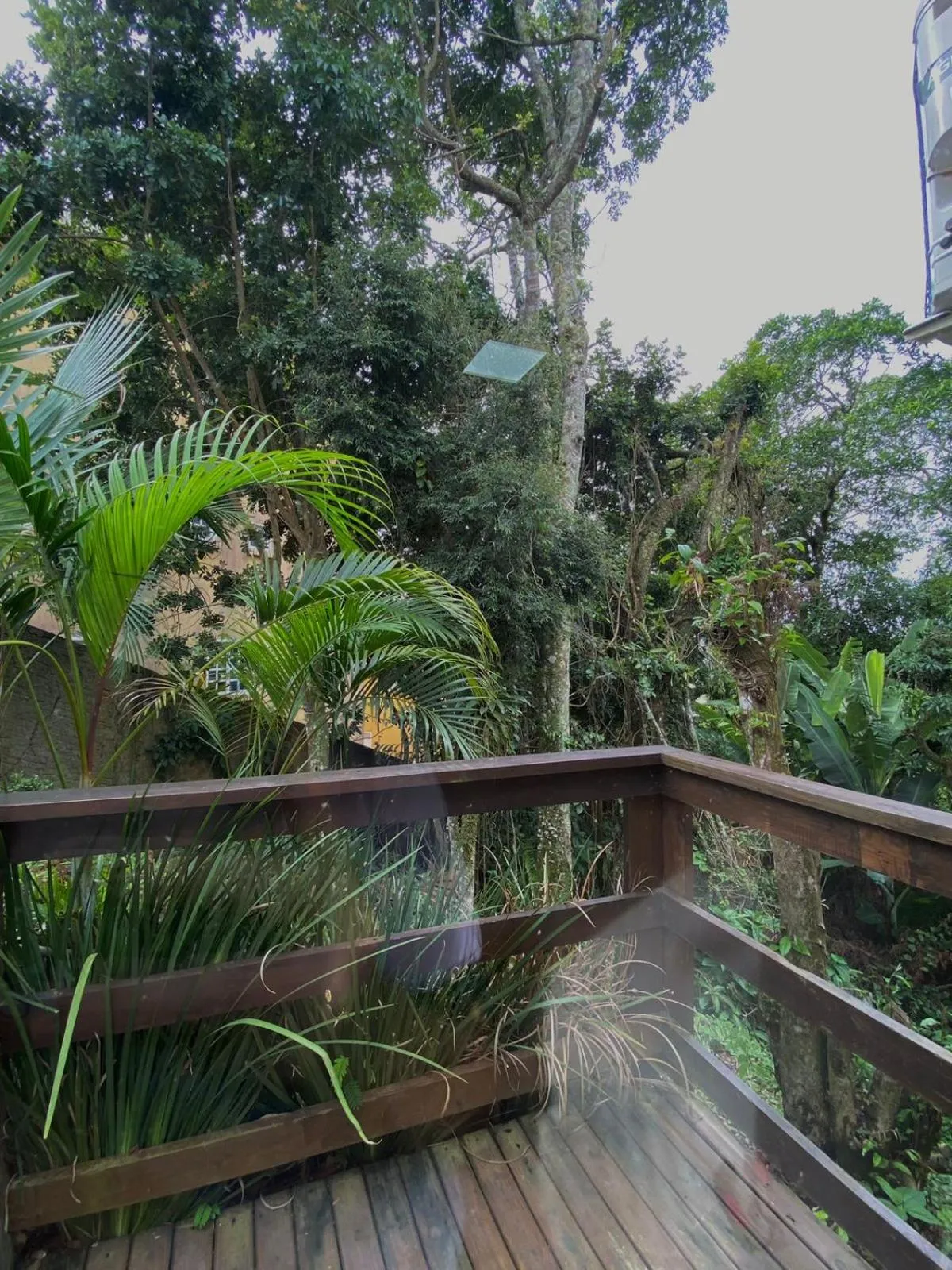 Natural landscape in Bombinhas Guest House