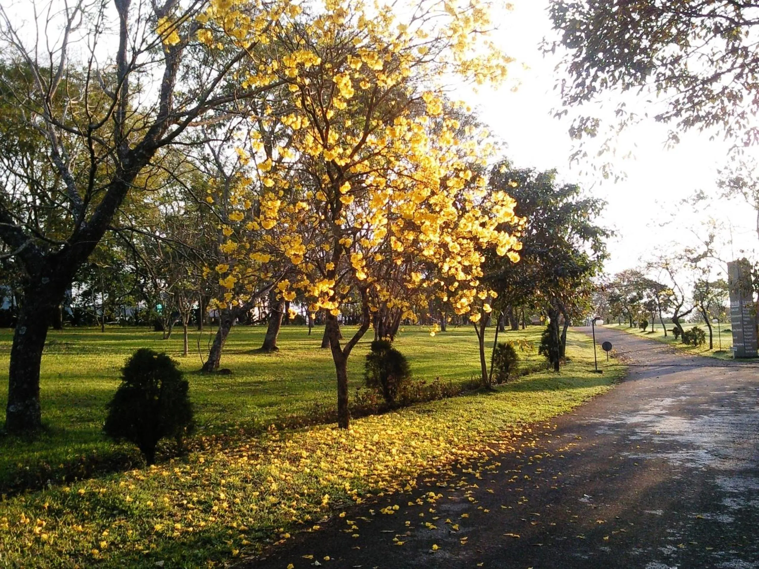 Garden in Hotel Lago das Pedras
