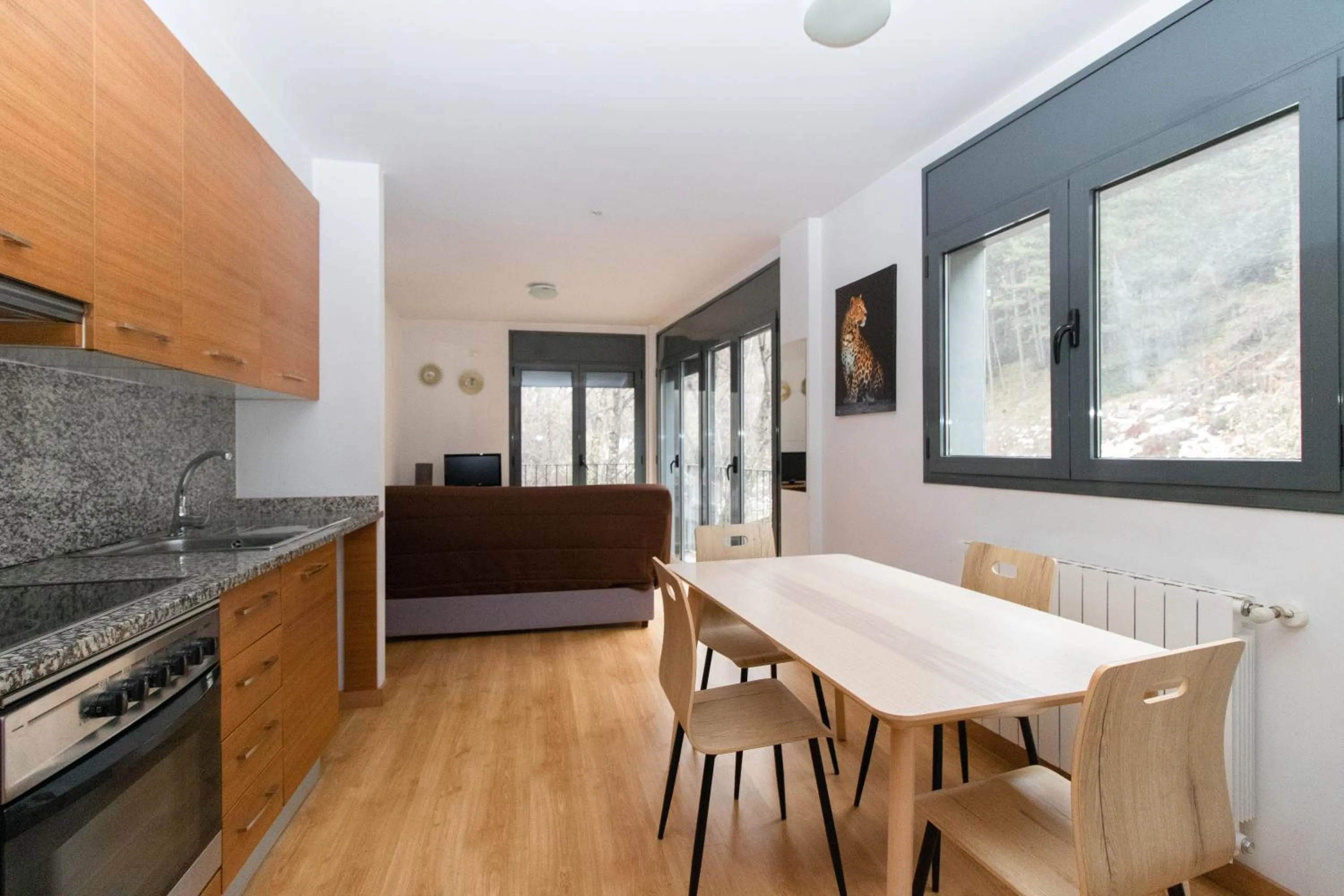 Kitchen or kitchenette in Apartamentos Canillo 3000