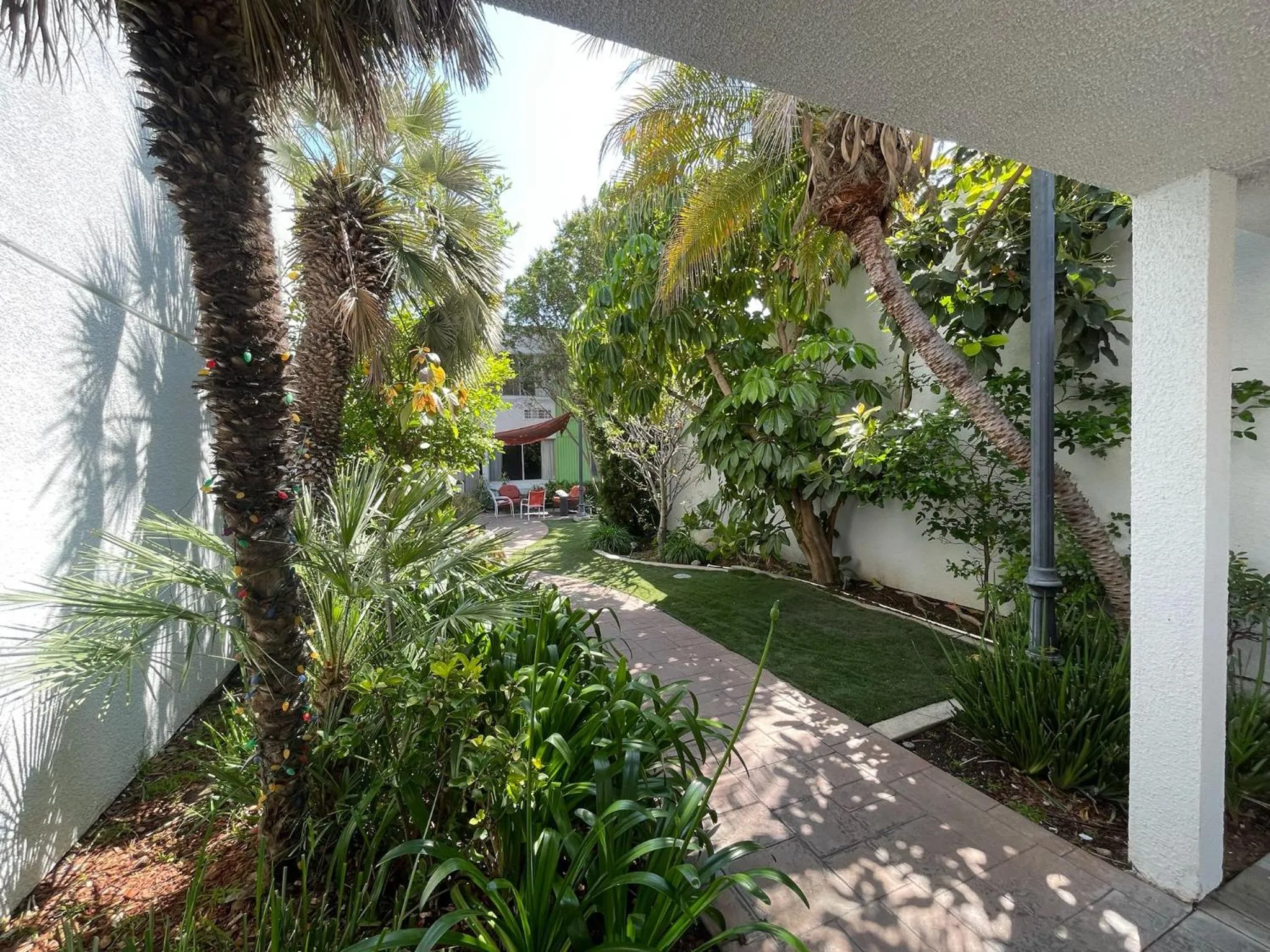 Garden in Hotel Pacific Garden