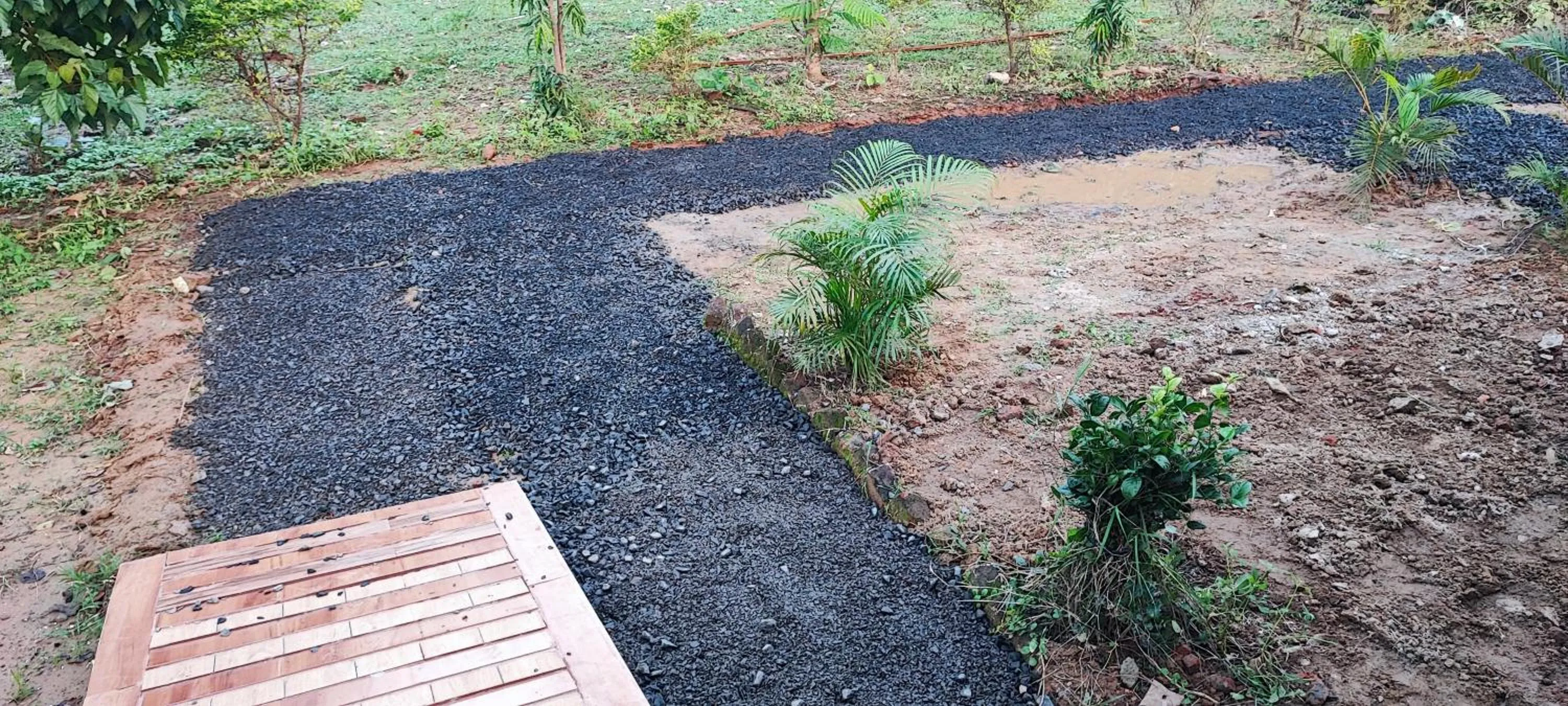 Spring in Tribal Wood Resort