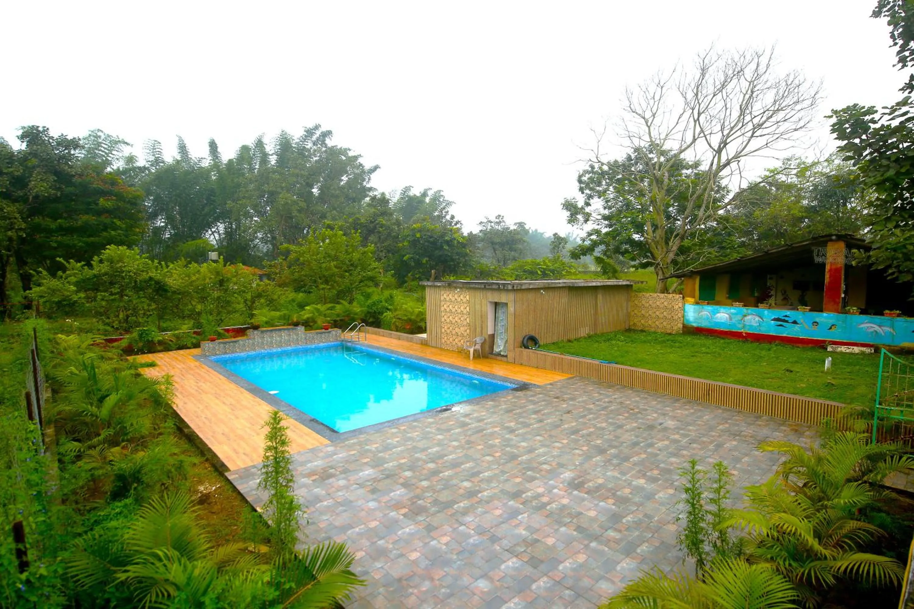 Swimming pool in Tribal Wood Resort