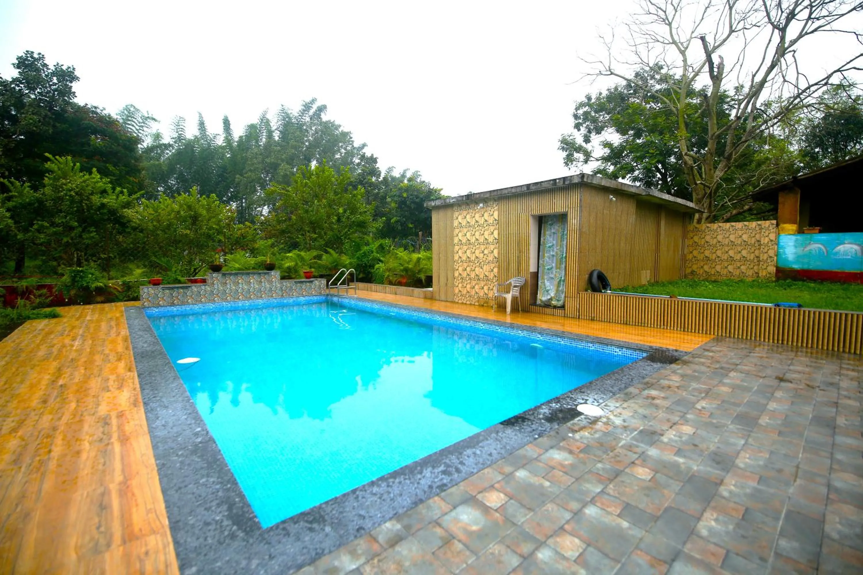 Swimming pool in Tribal Wood Resort