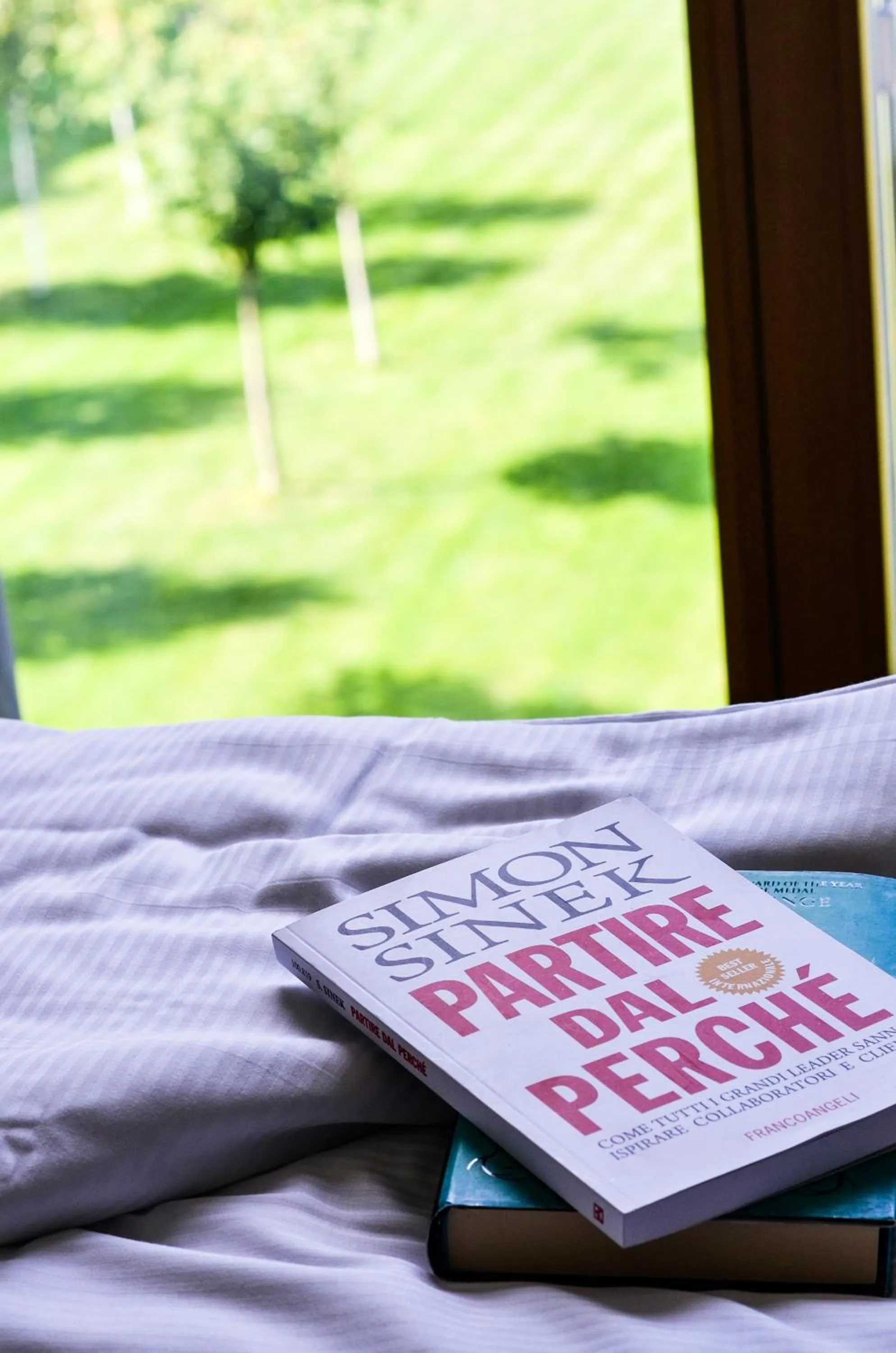 Garden in Komodo short stay apartments