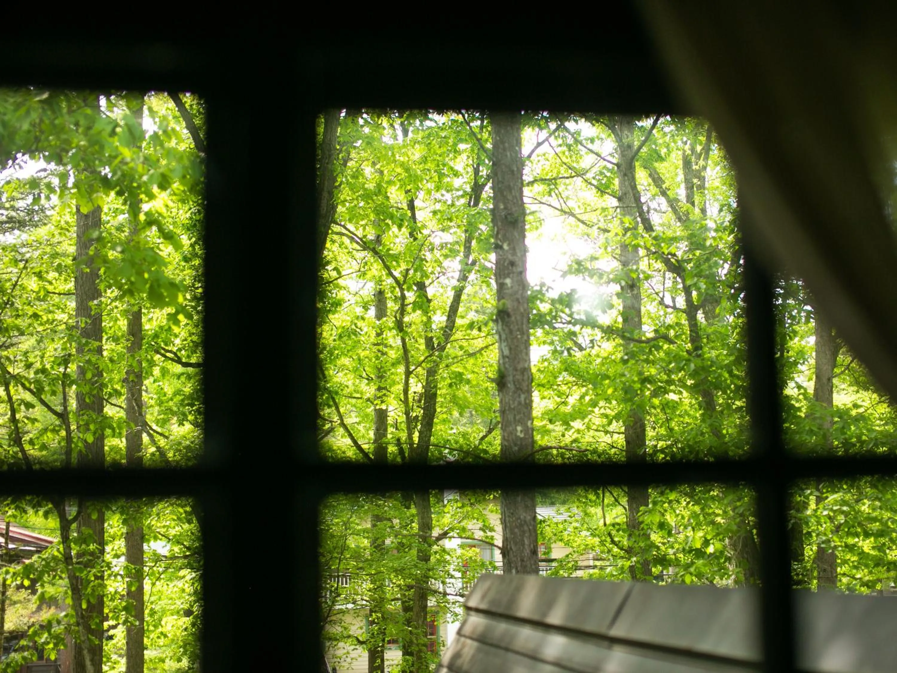 Natural landscape in Restaurant & Hotel Traumerei