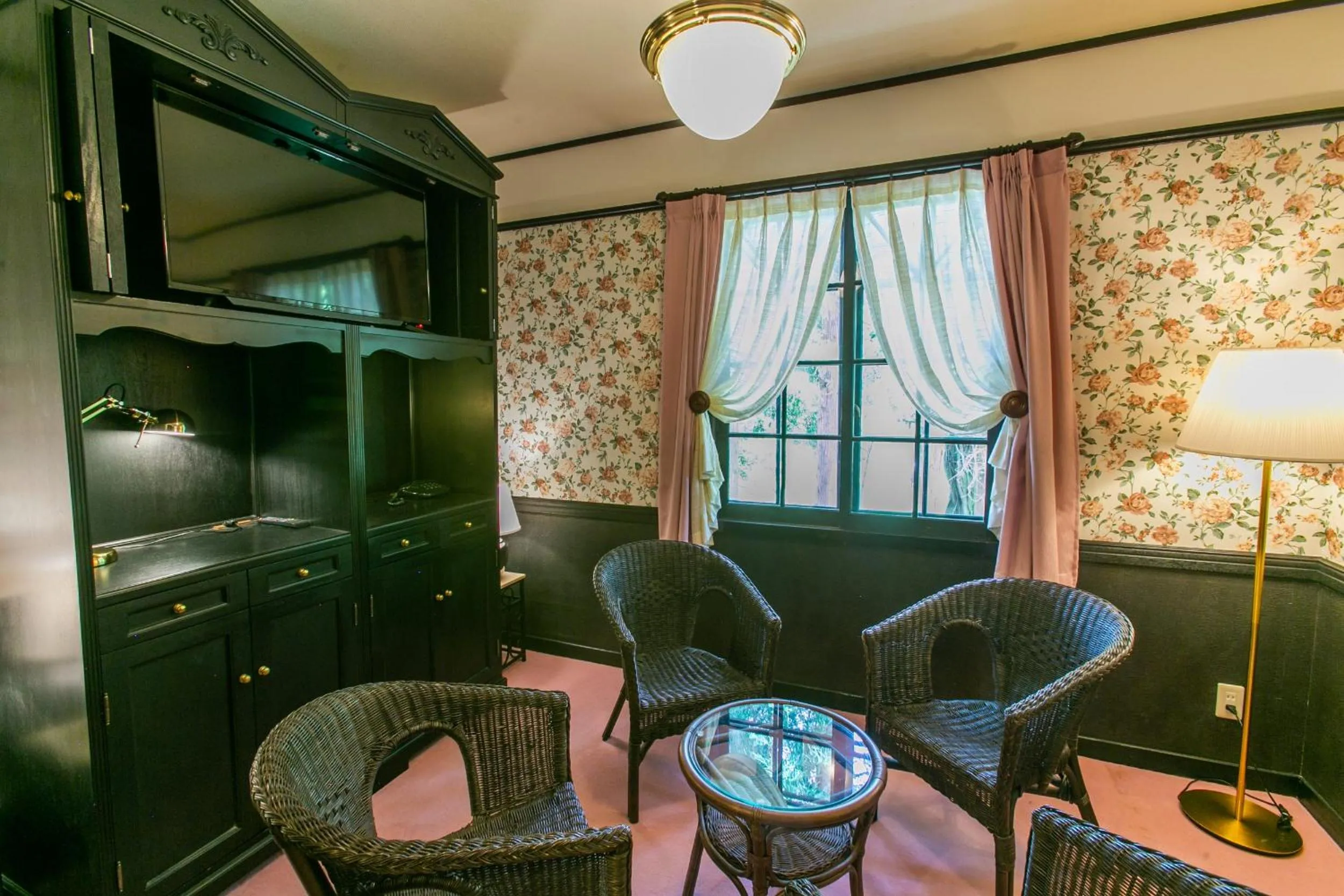 TV and multimedia in Restaurant & Hotel Traumerei