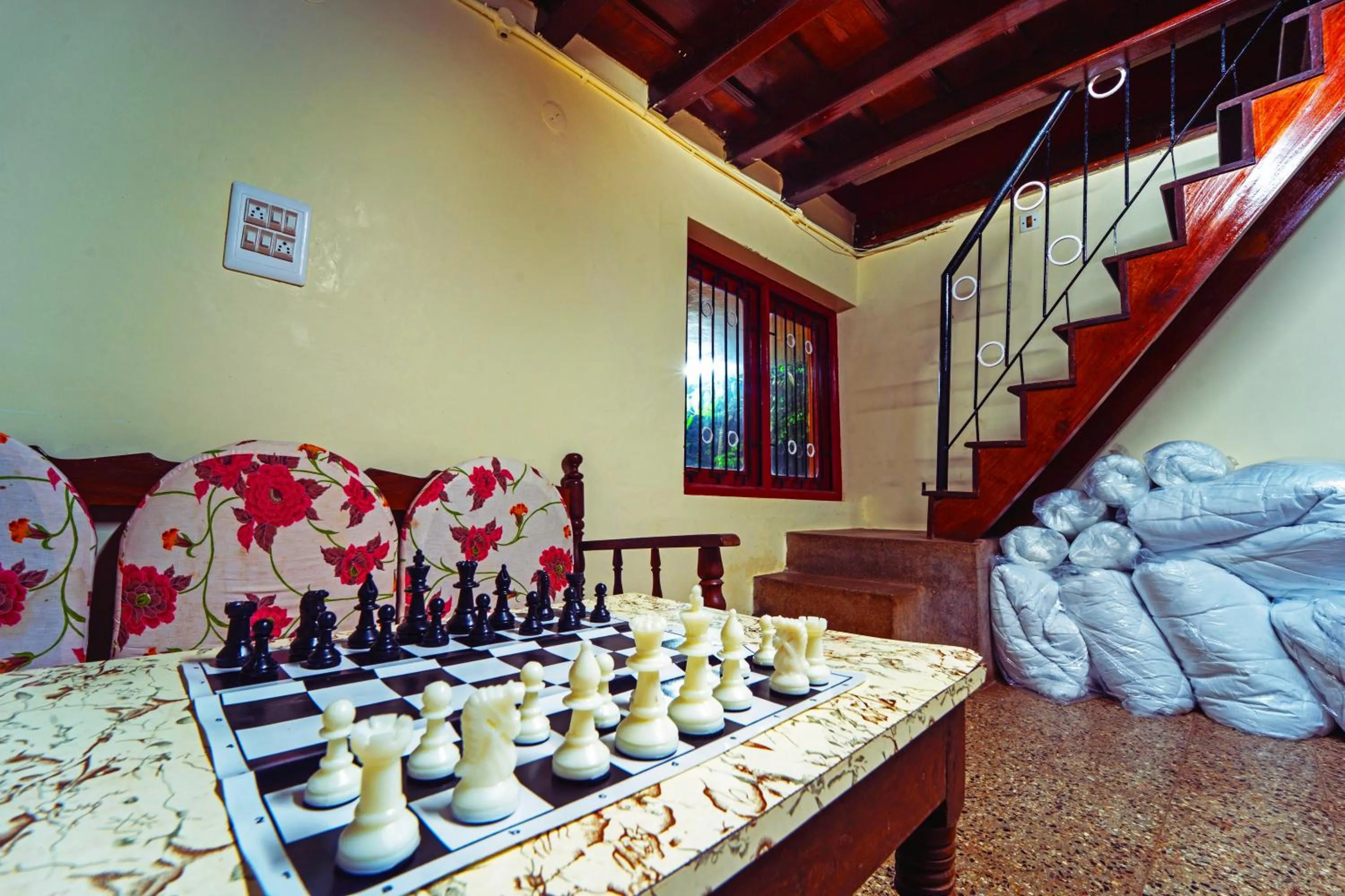 Activities in Enso Luxury Stays