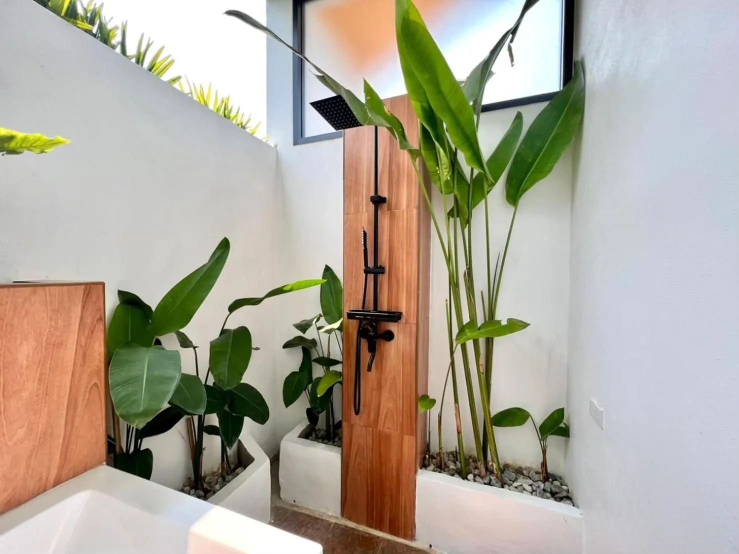 Garden in The Estretto Resort