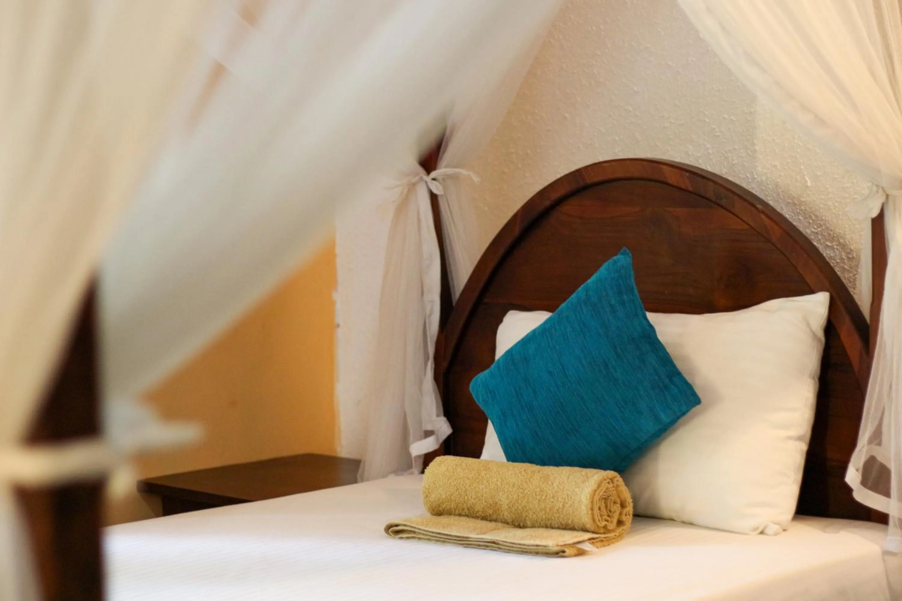 Xotic Resort