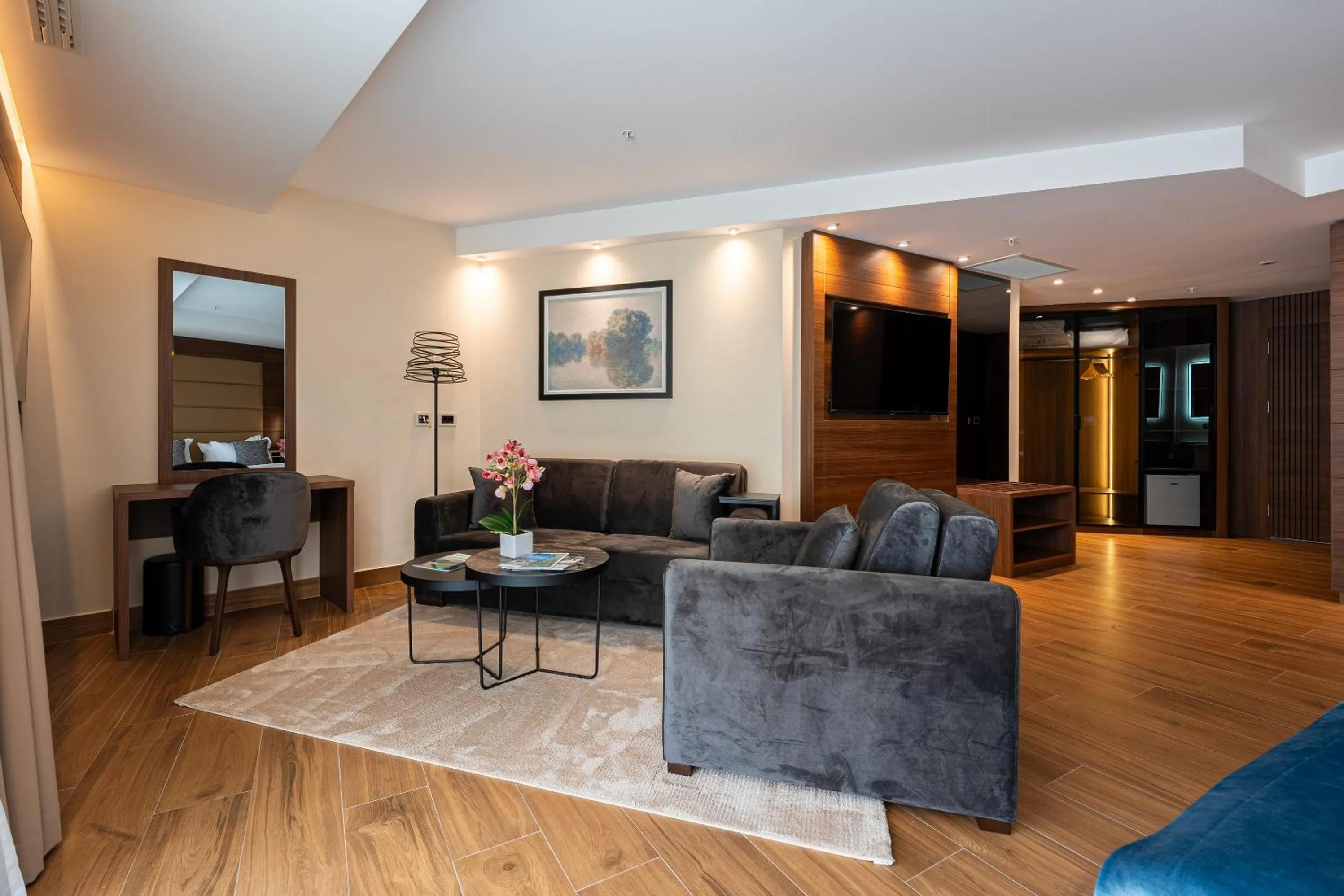 TV and multimedia in Hotel De‘Andros Virpazar