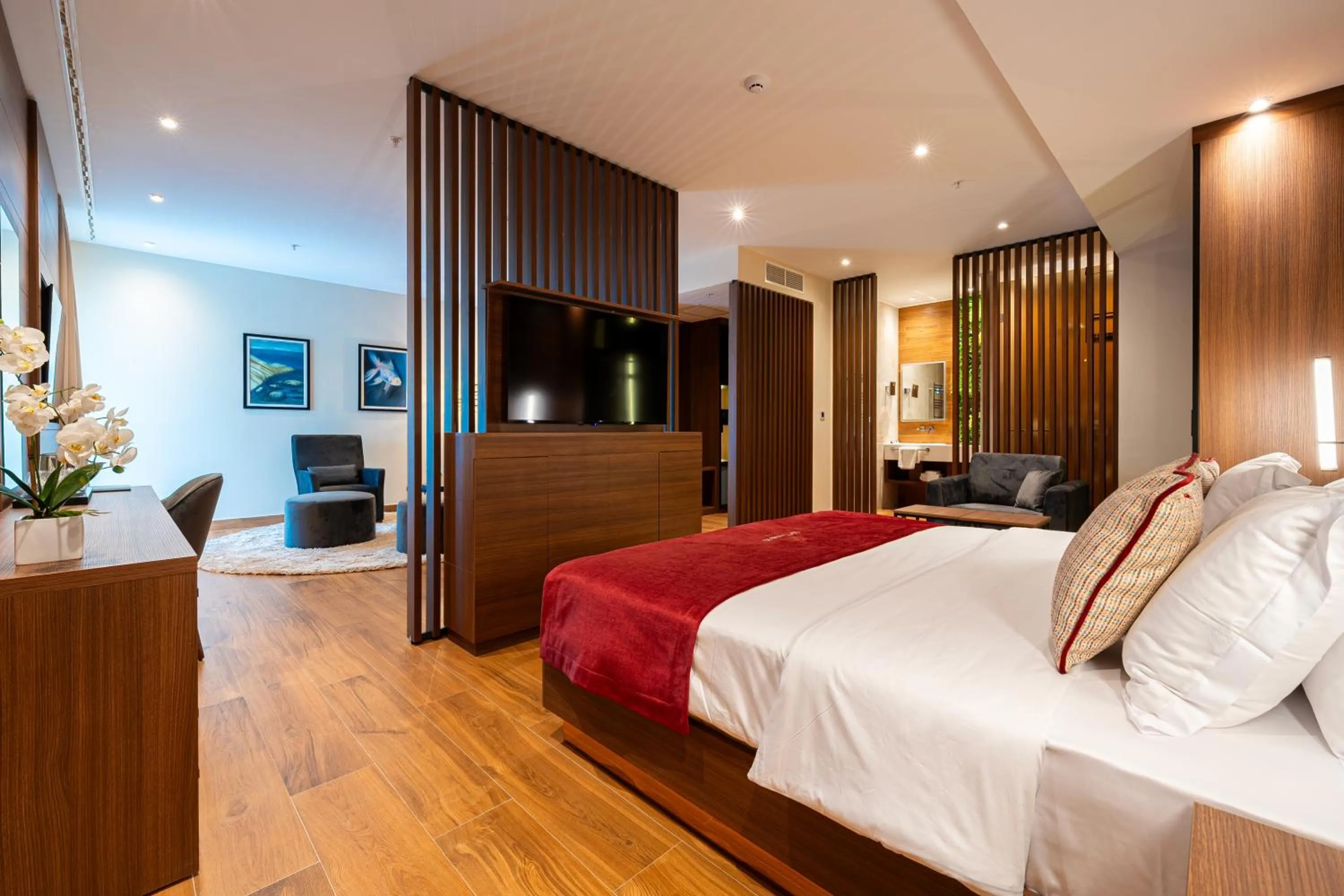TV and multimedia, Bed in Hotel De‘Andros Virpazar
