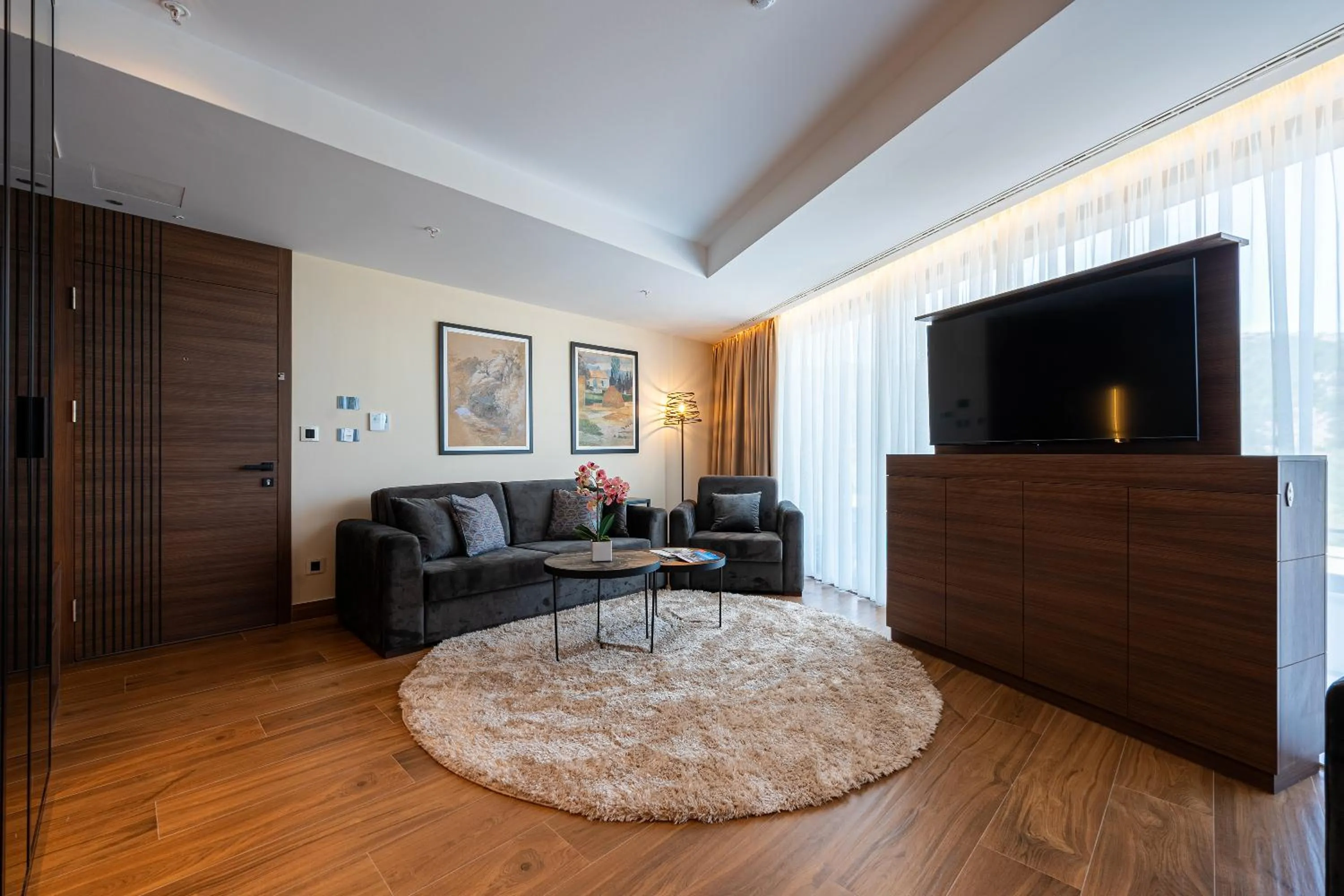 TV and multimedia in Hotel De‘Andros Virpazar
