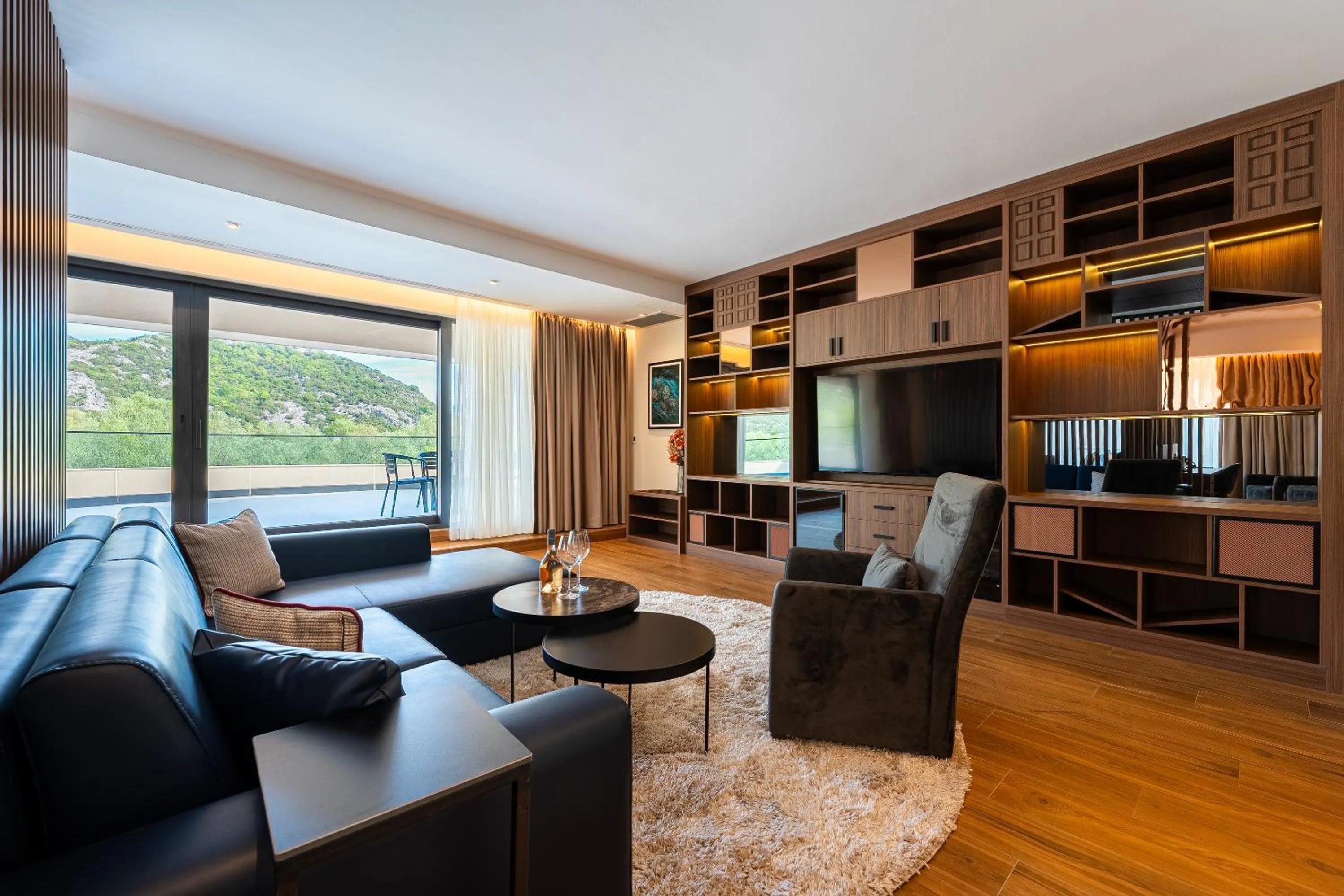 TV and multimedia in Hotel De‘Andros Virpazar