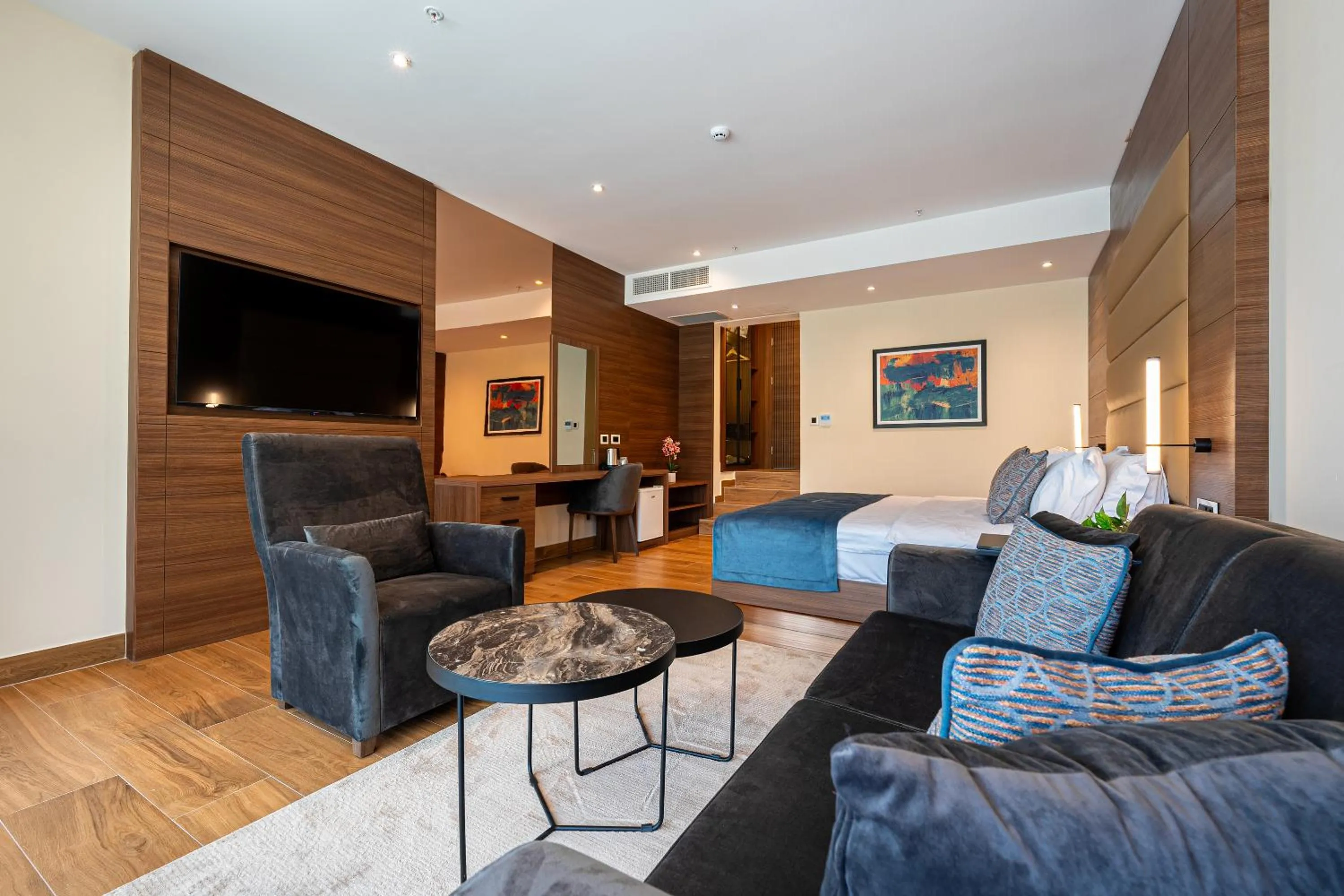 TV and multimedia in Hotel De‘Andros Virpazar