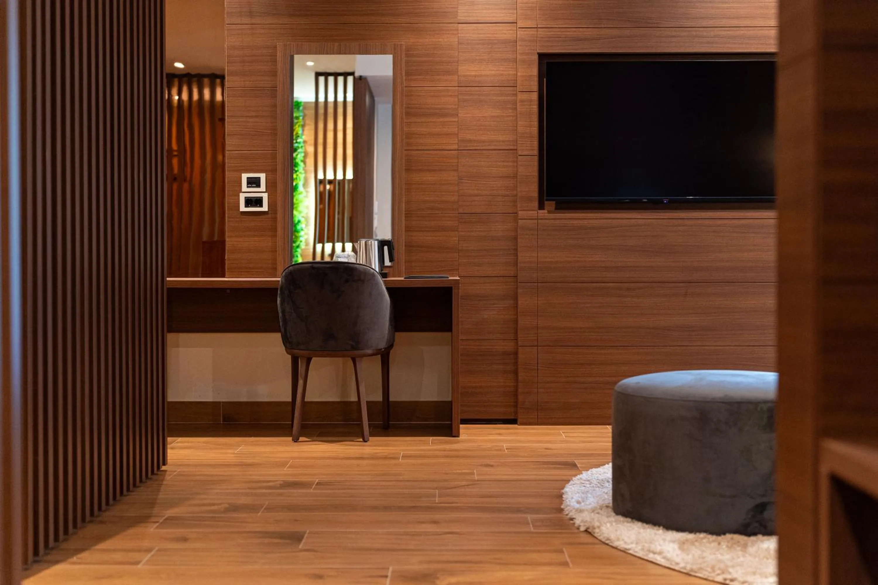 TV and multimedia in Hotel De‘Andros Virpazar