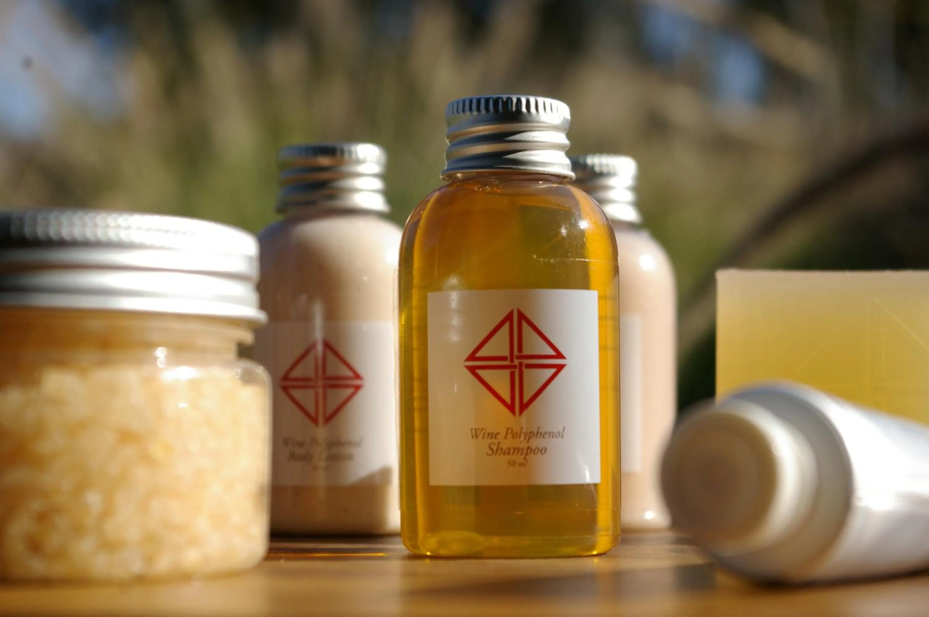 Spa and wellness centre/facilities in Vik Chile