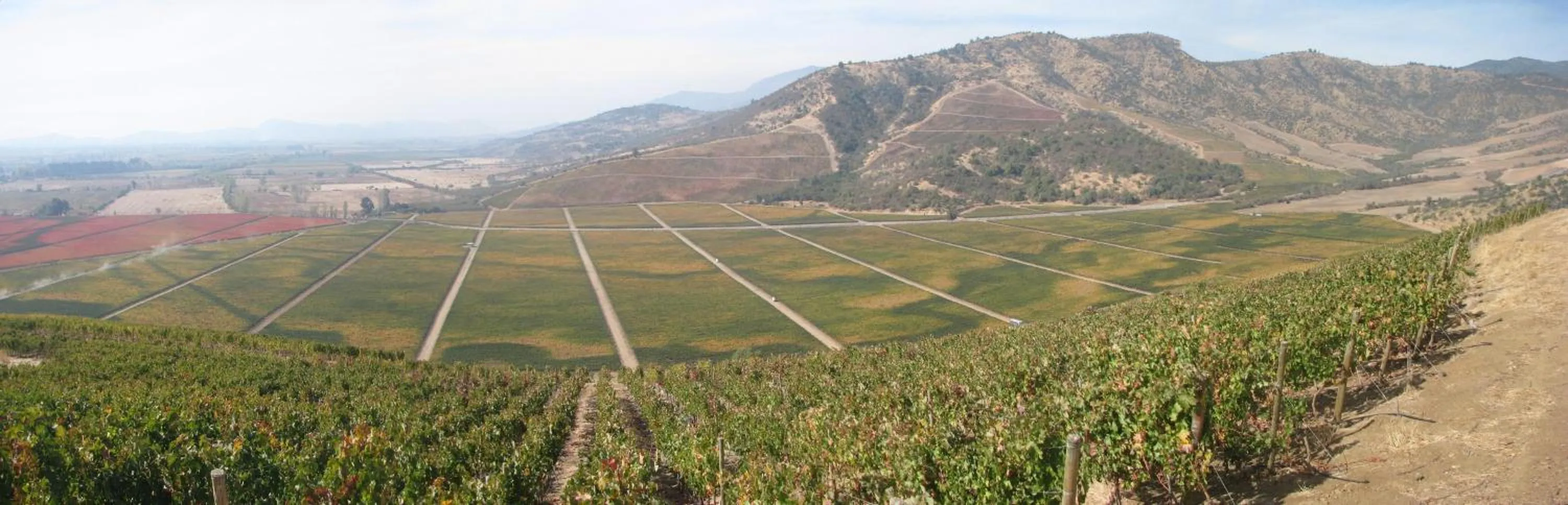 Natural landscape in Vik Chile