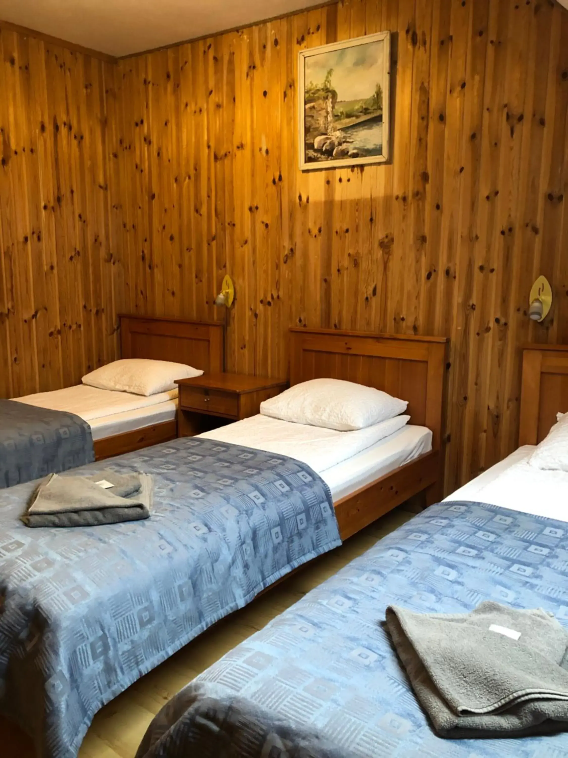 Triple Room with Shared Bathroom in Viesu nams Vālodzes Triple Room with Shared Bathroom in Viesu nams Vālodzes