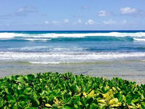2417 at Oceanfront Resort Lihue Kauai Beach Drive Private Condo