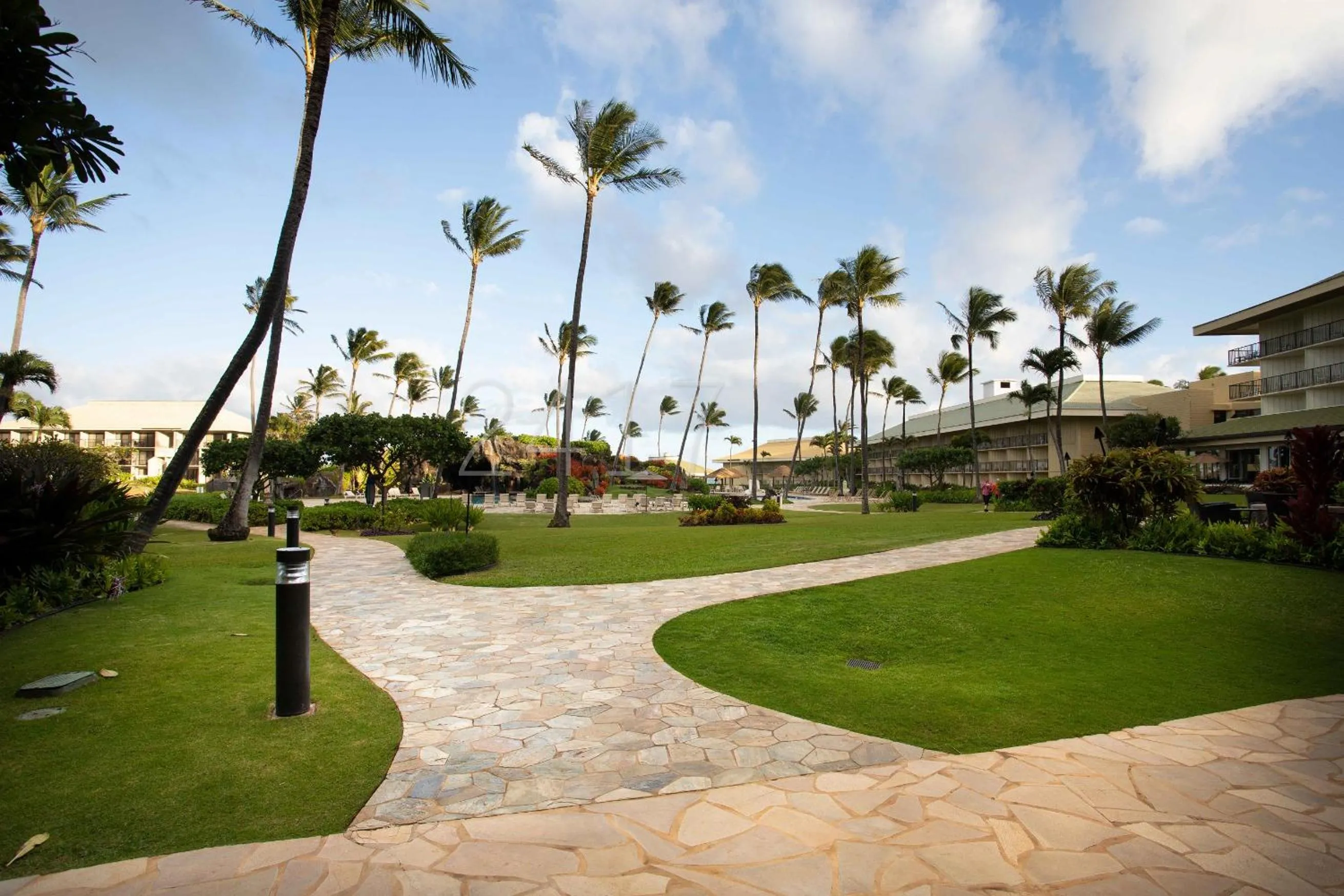 Garden view in 2417 at Oceanfront Resort Lihue Kauai Beach Drive Private Condo