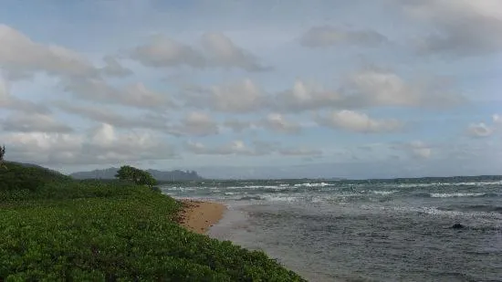 2417 at Oceanfront Resort Lihue Kauai Beach Drive Private Condo
