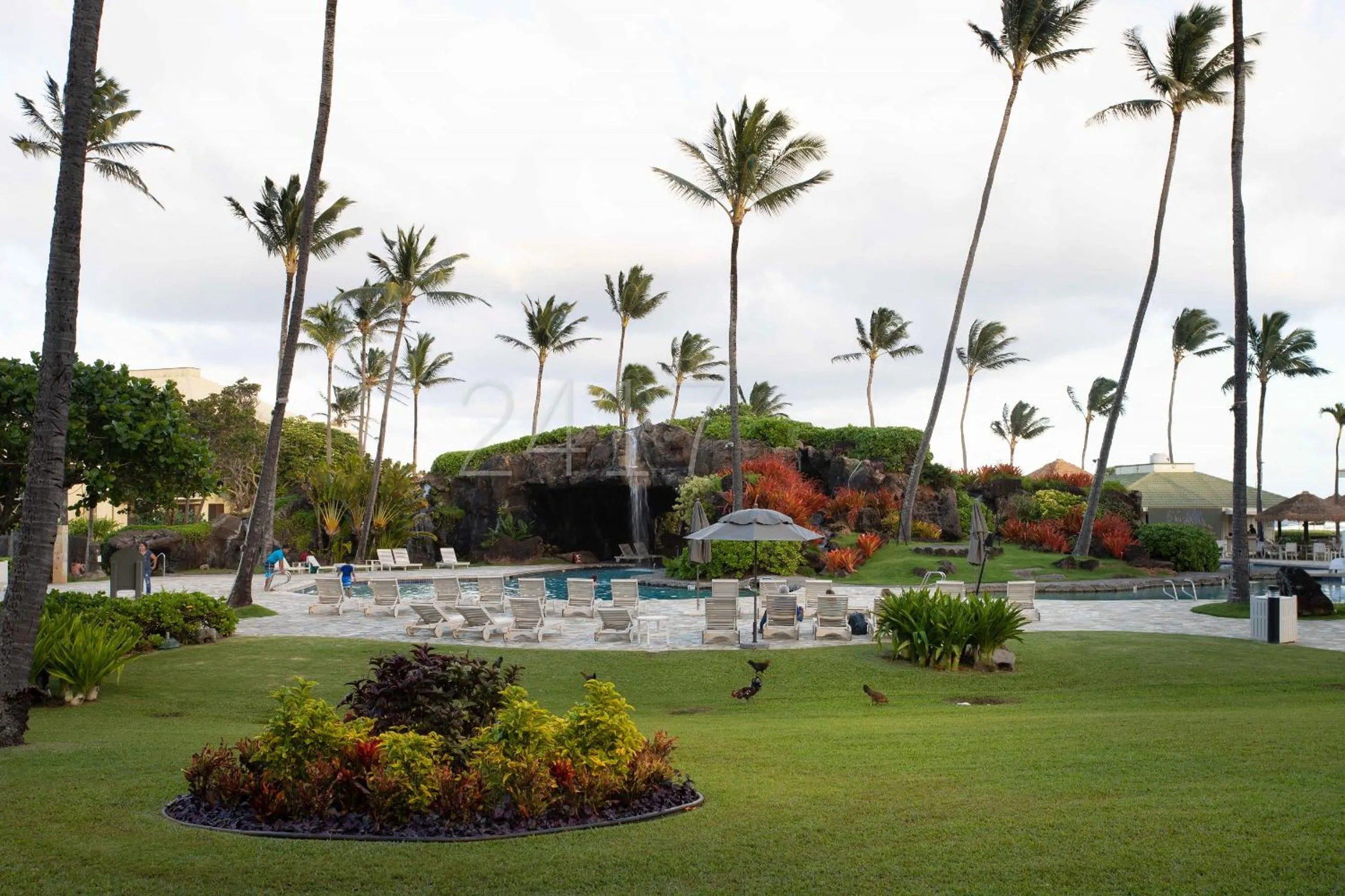 Bird's eye view in 2417 at Oceanfront Resort Lihue Kauai Beach Drive Private Condo