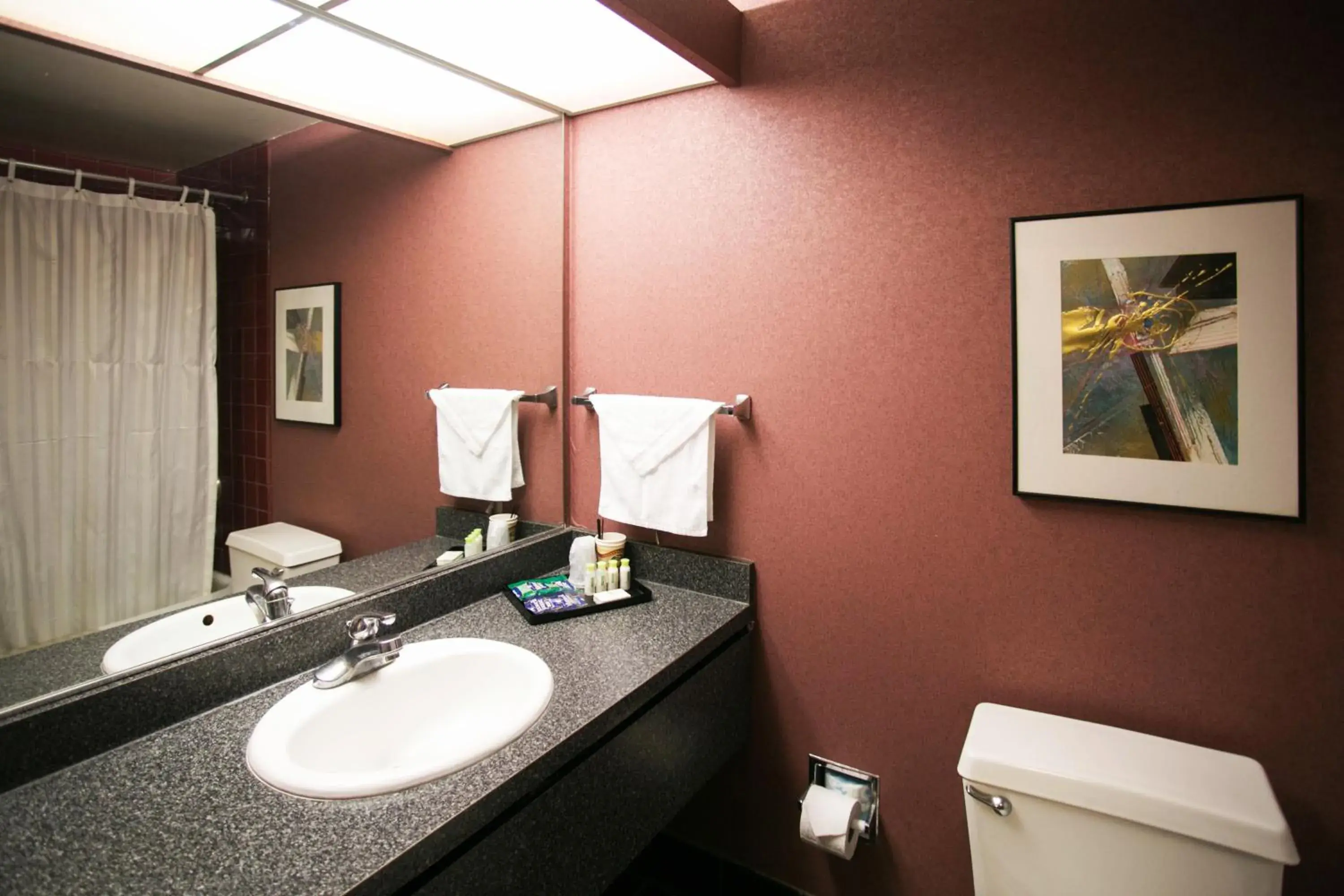 Toilet, Bathroom in LA Crystal Hotel -Los Angeles-Long Beach Area