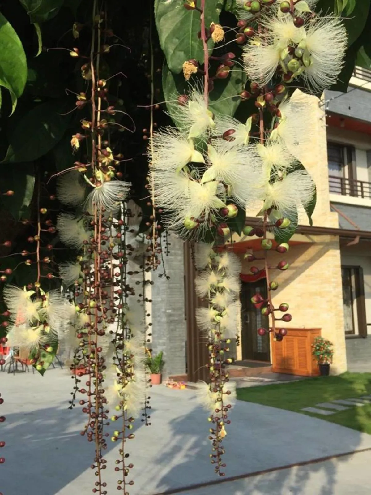 Property building in Sweet Suger B&B