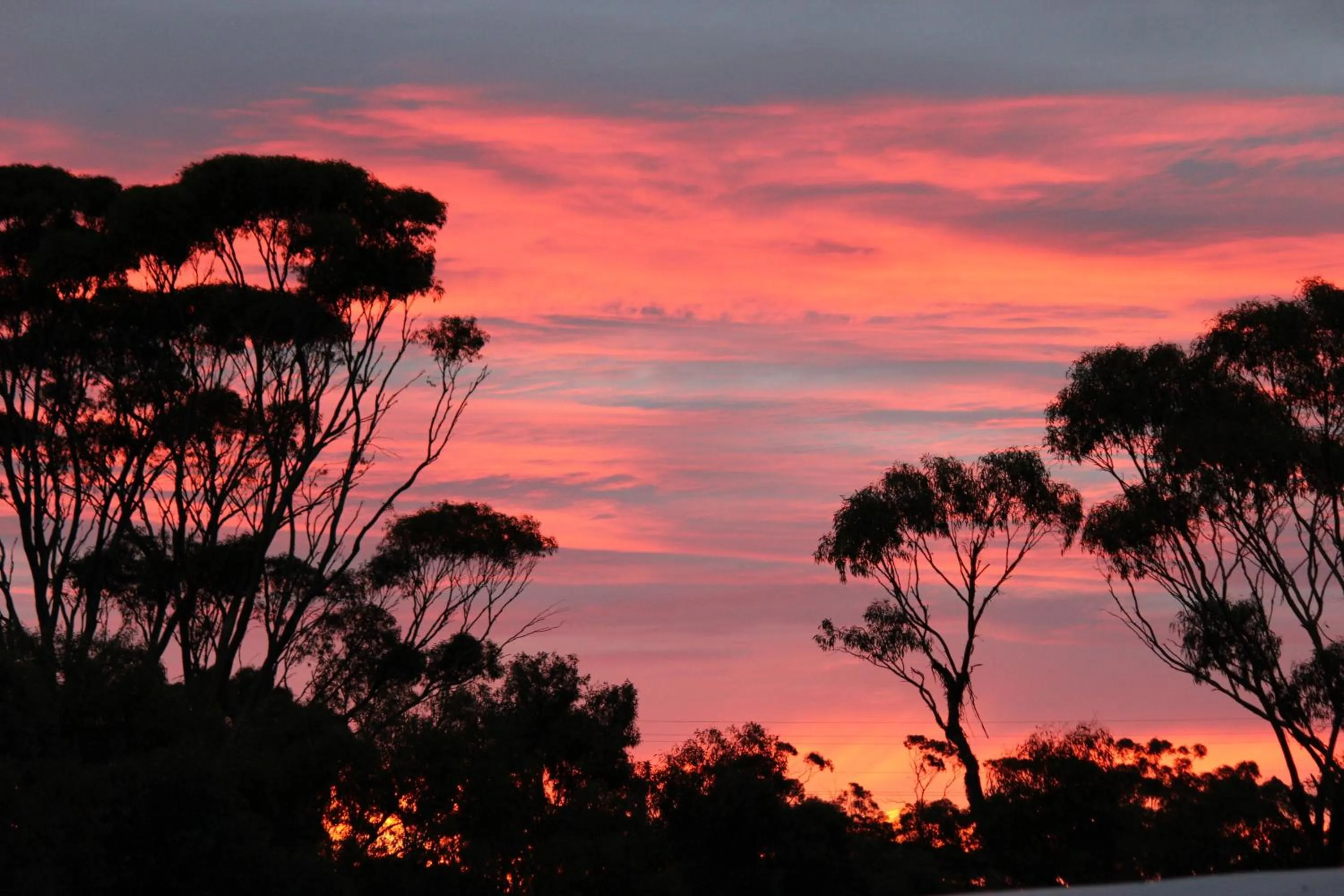 Sunset in Green Leaves Cabin