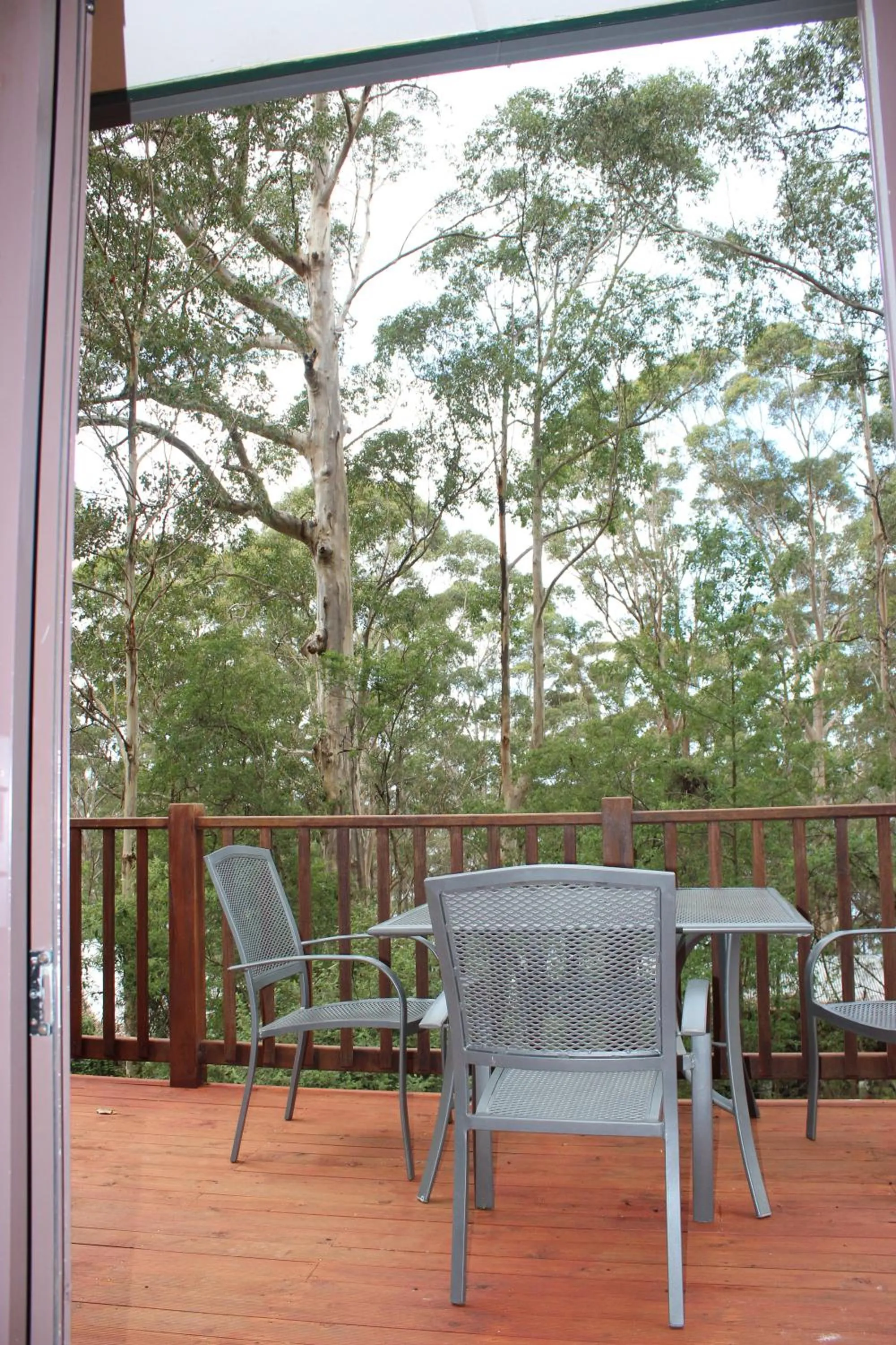 Balcony/Terrace in Green Leaves Cabin