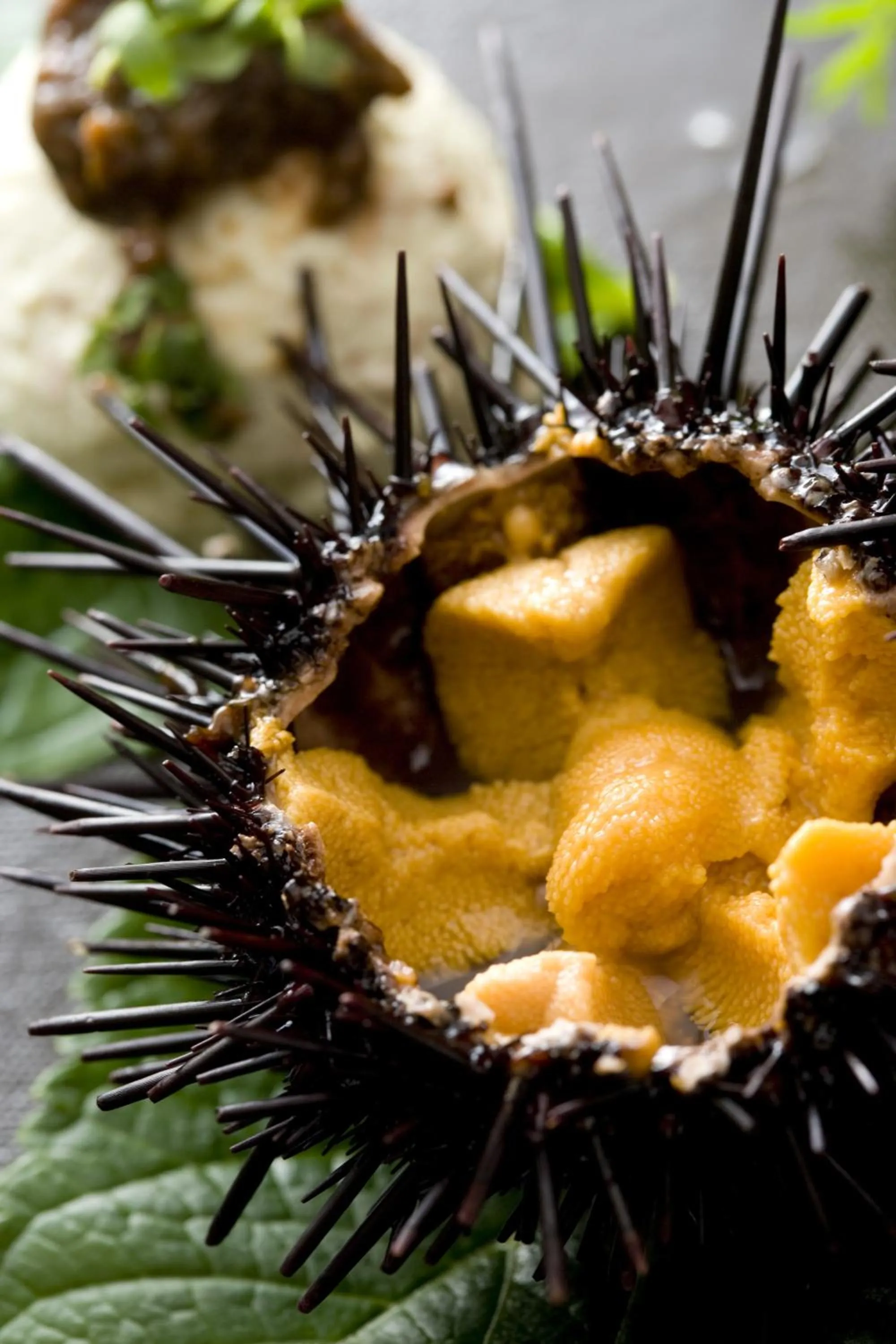 Food in Iki Stellacote Taiankaku