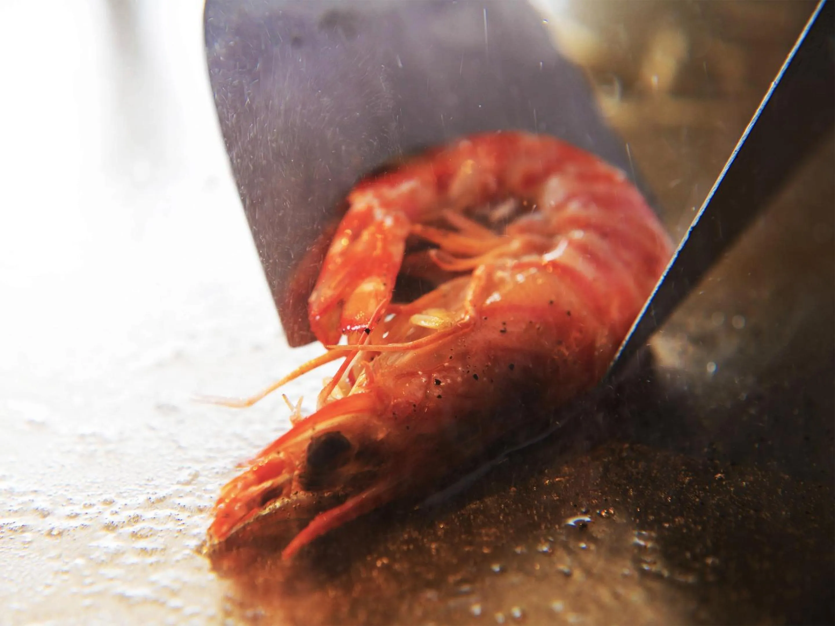 Food close-up in Iki Stellacote Taiankaku