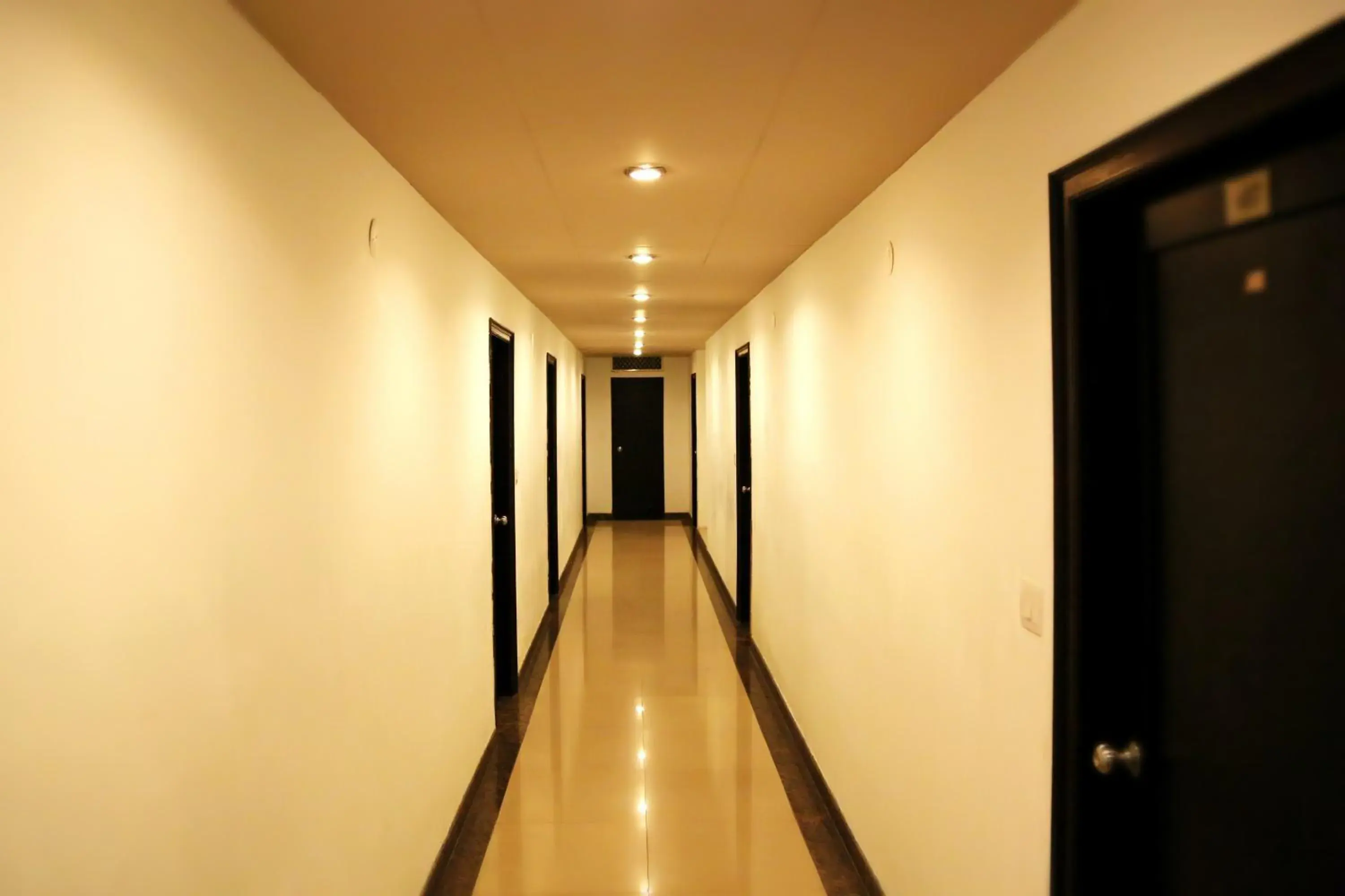 Lobby or reception in Narayans Leela Inn Lobby or reception in Narayans Leela Inn