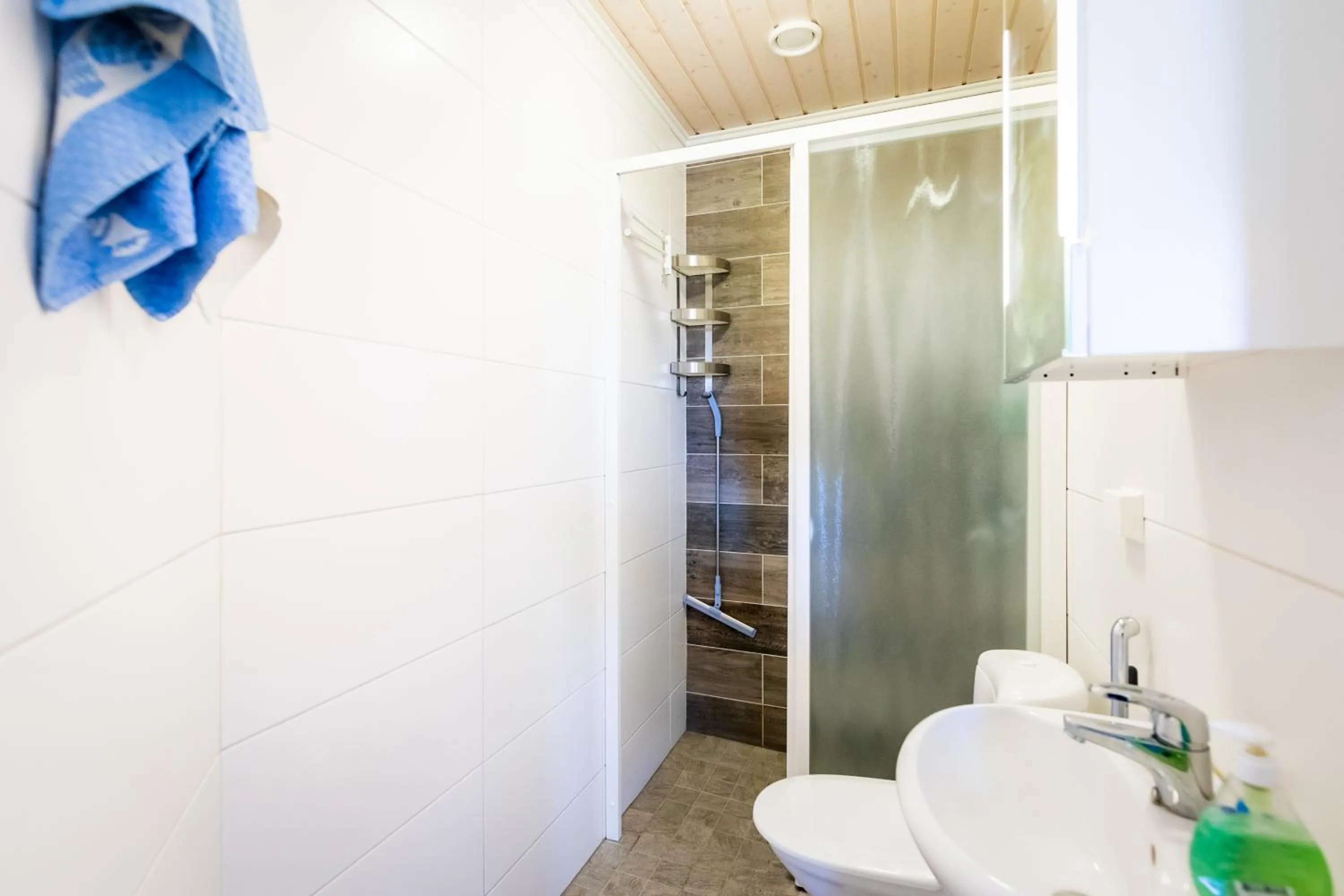 Toilet in Lossisaari Tourist Center