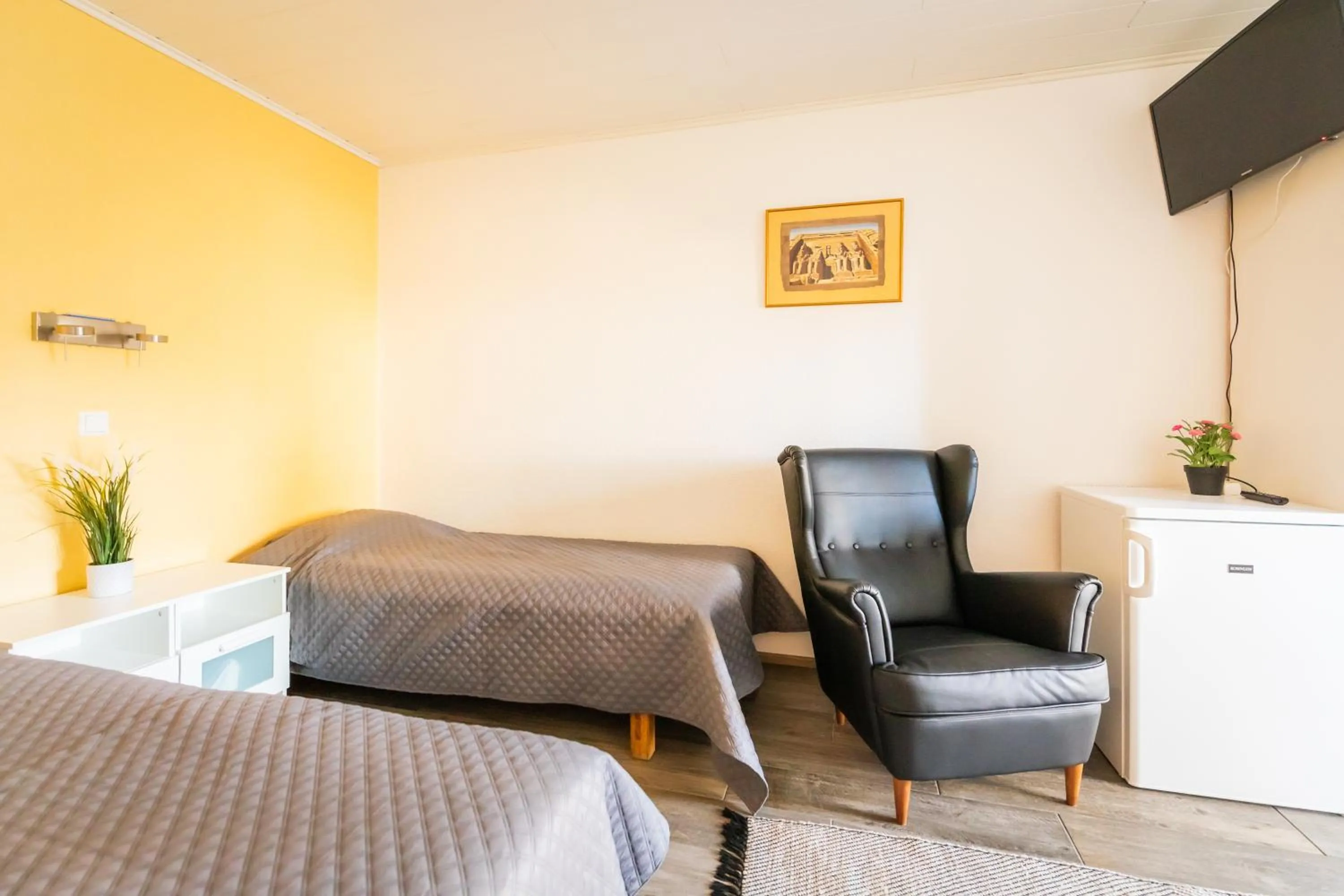 TV and multimedia in Lossisaari Tourist Center