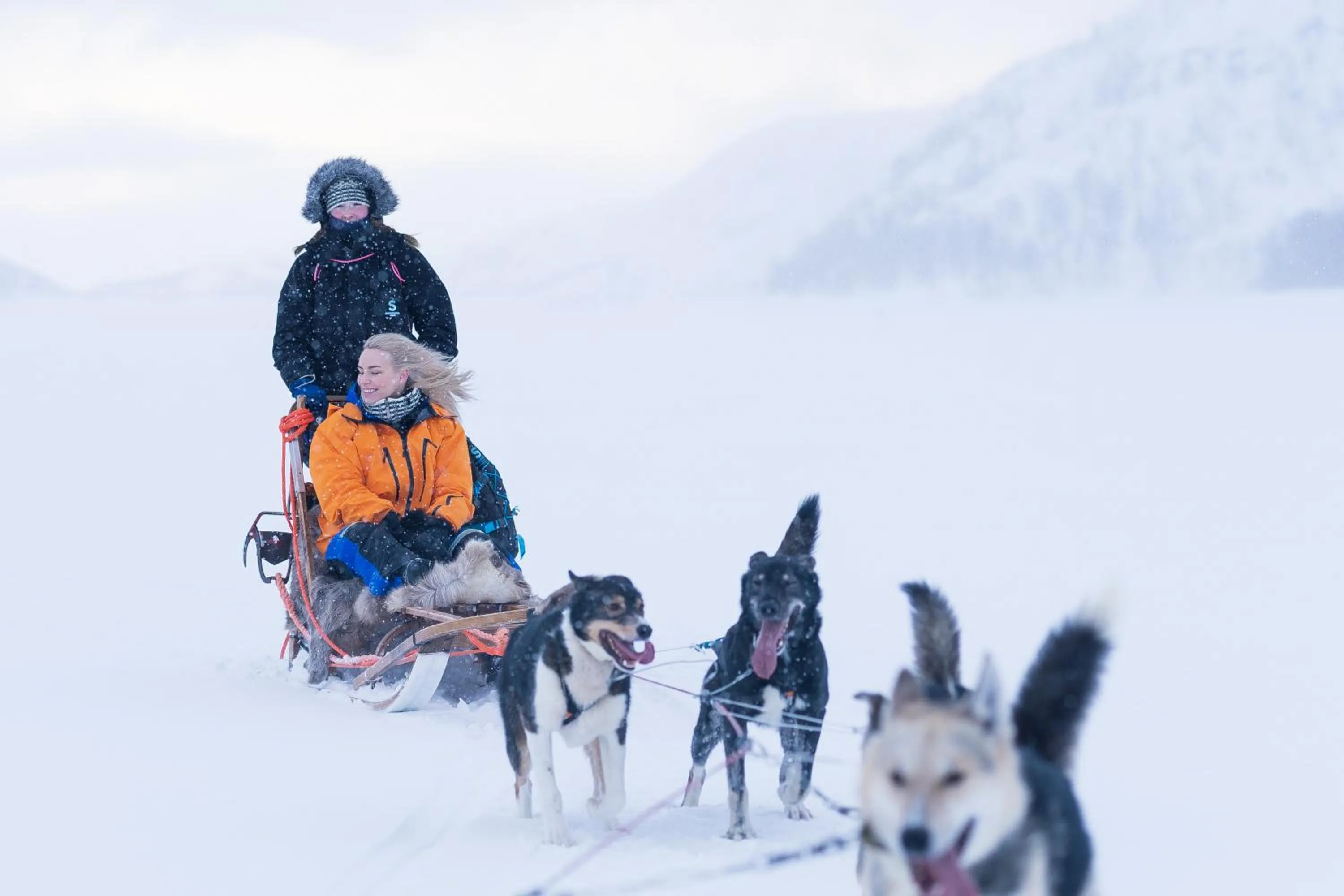 Activities in Snow Resort Kirkenes