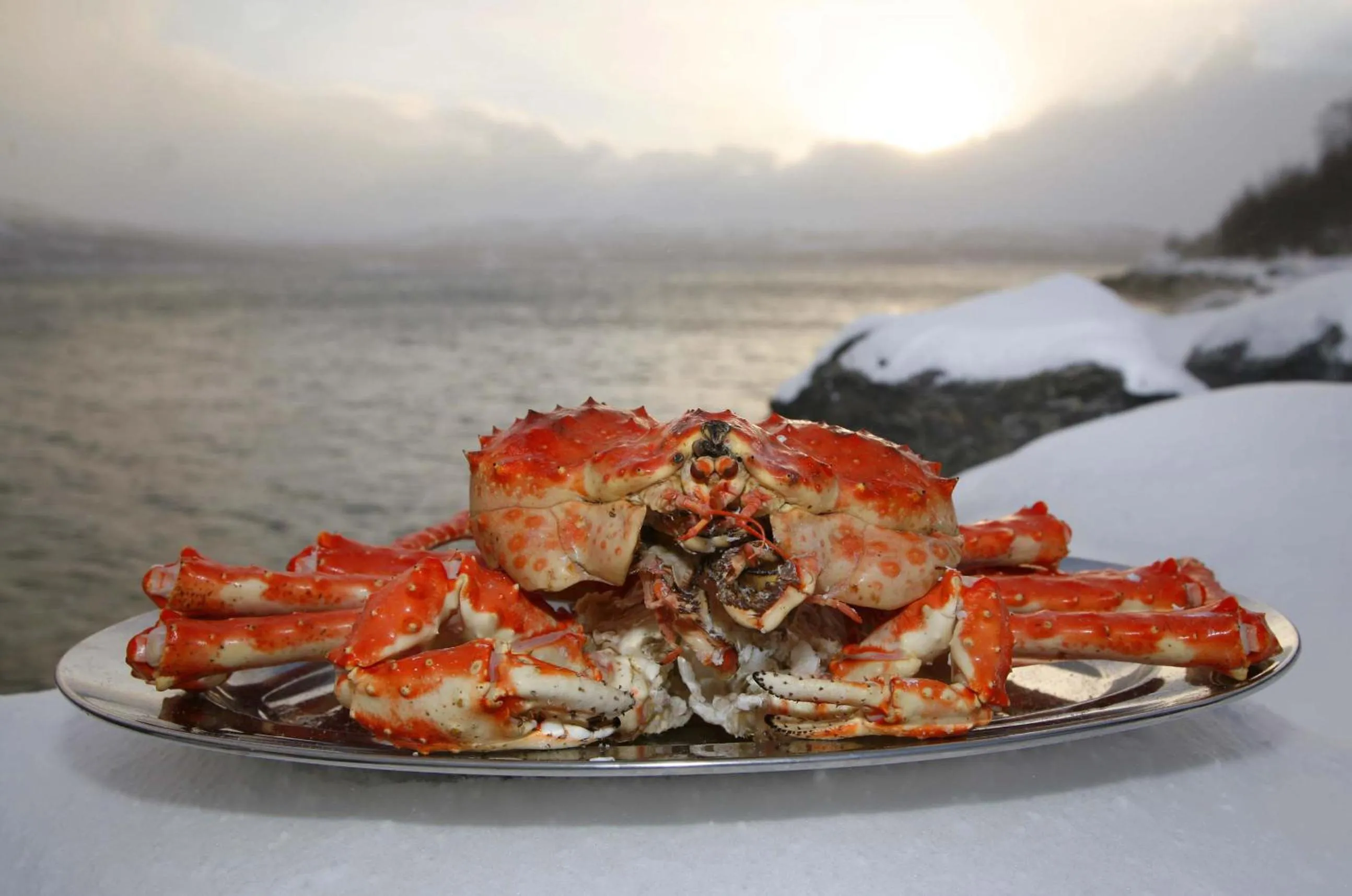 Food in Snow Resort Kirkenes