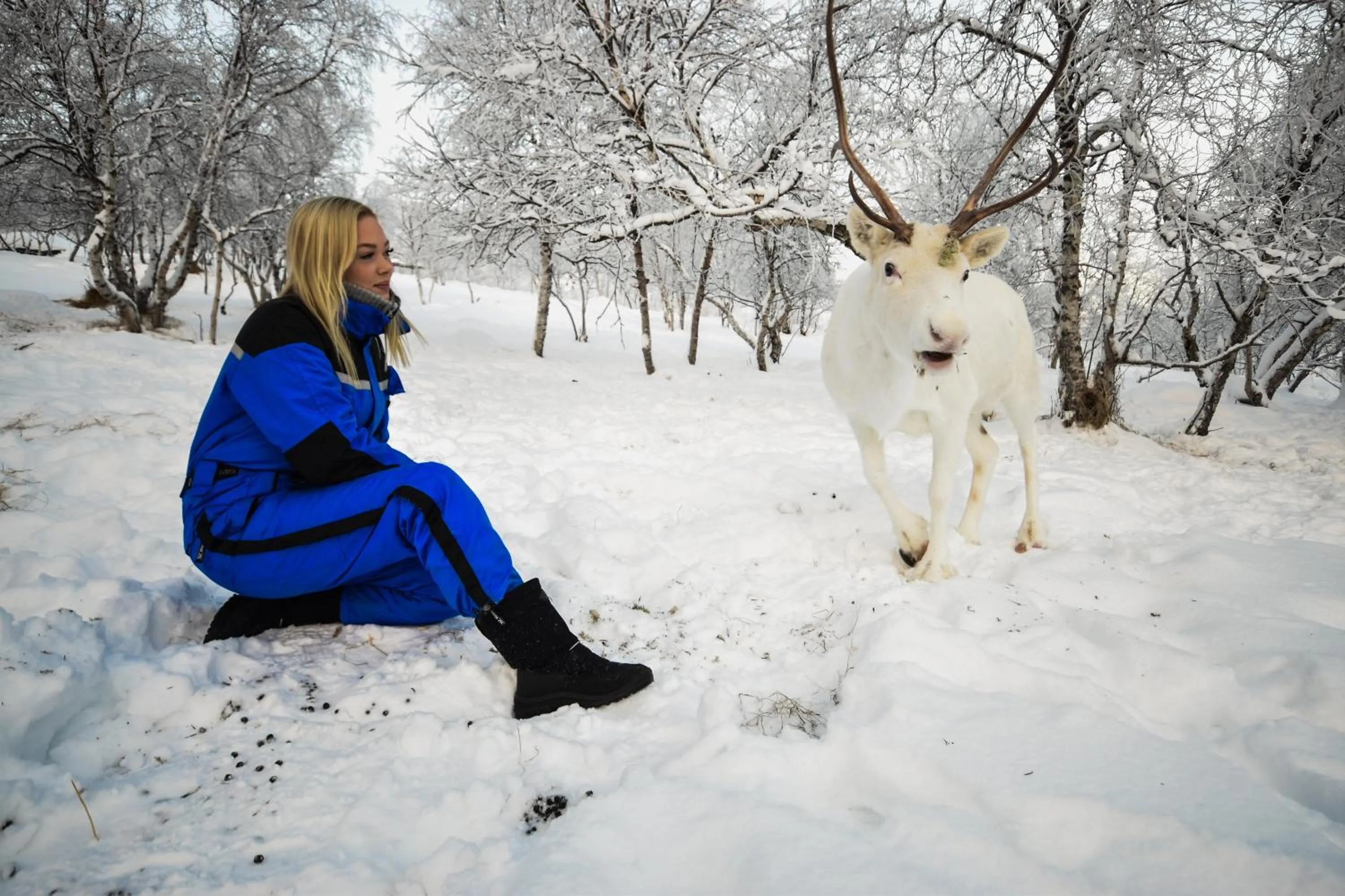 Day in Snow Resort Kirkenes