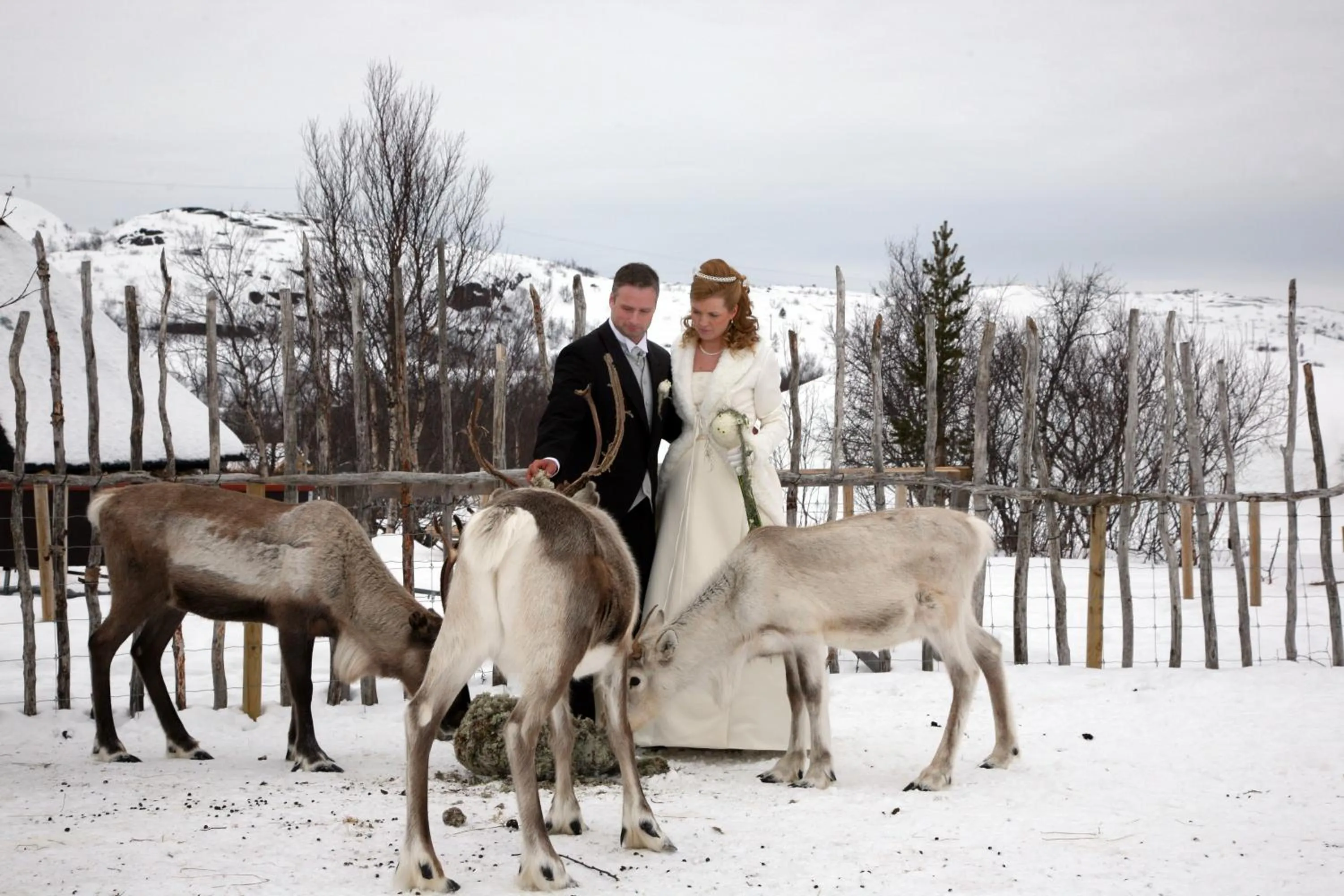 Winter in Snow Resort Kirkenes
