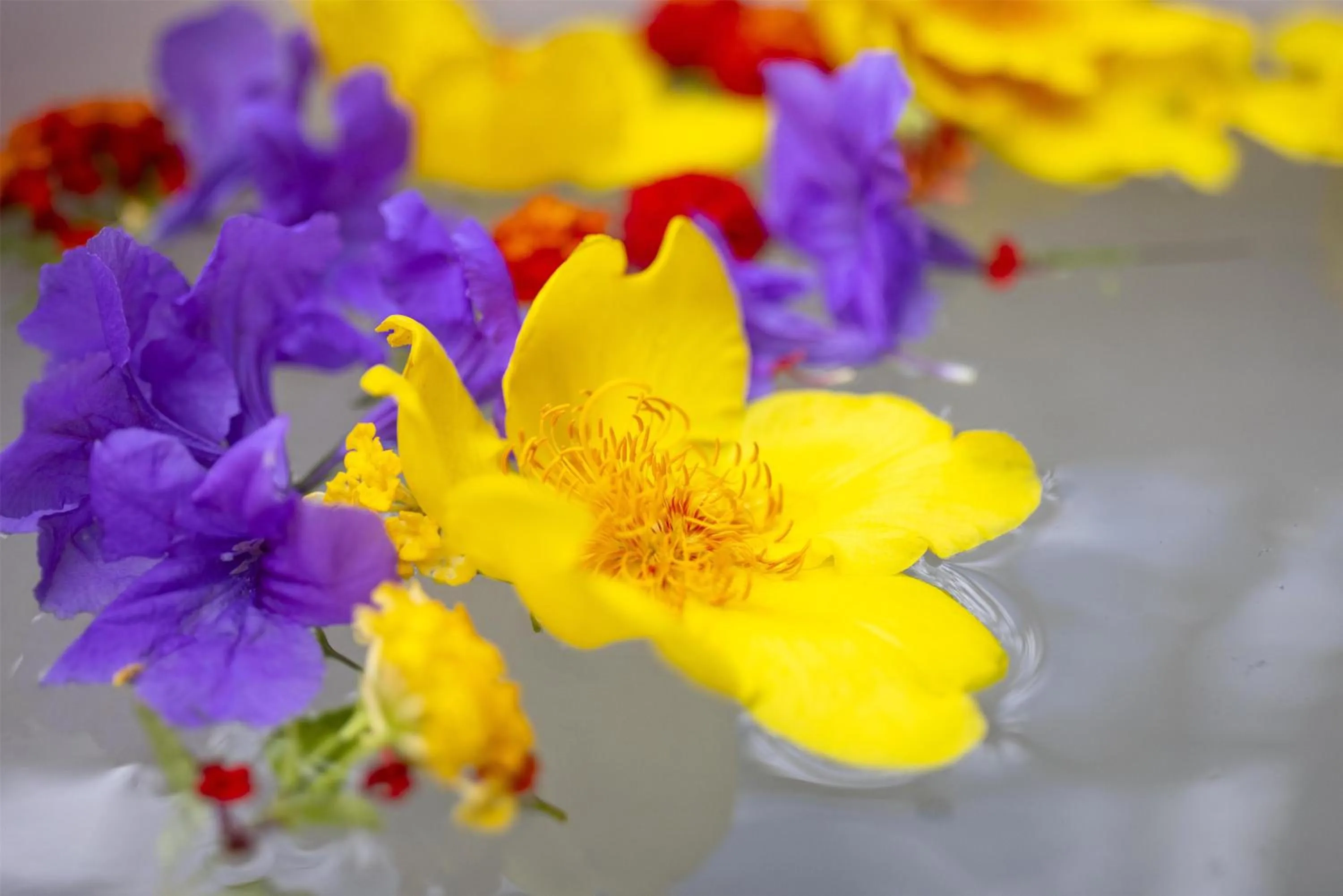 Spa and wellness centre/facilities in Waldorf Astoria Costa Rica Punta Cacique