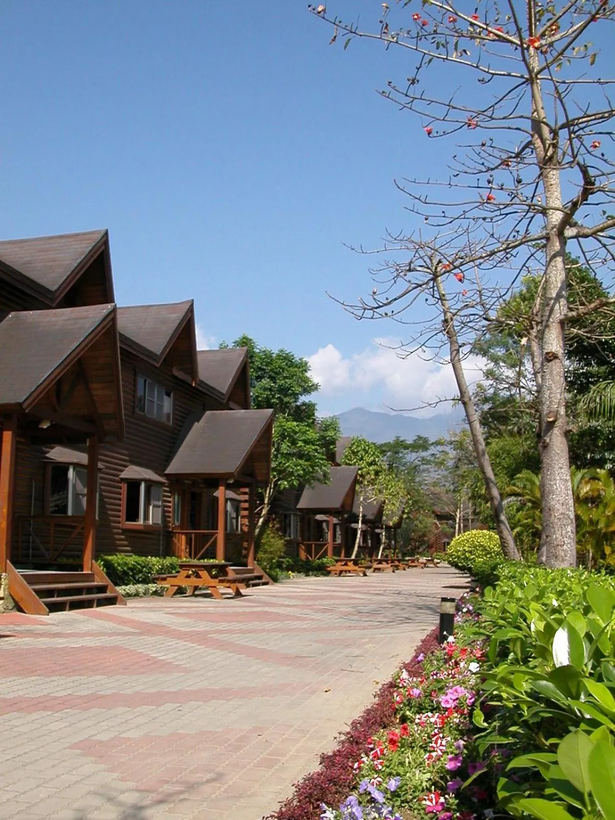 Property building in Master Bear Resort