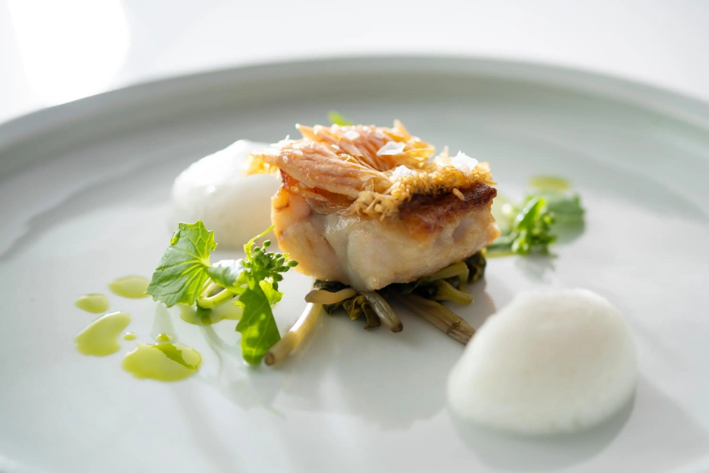 Restaurant/places to eat in River Retreat Garaku