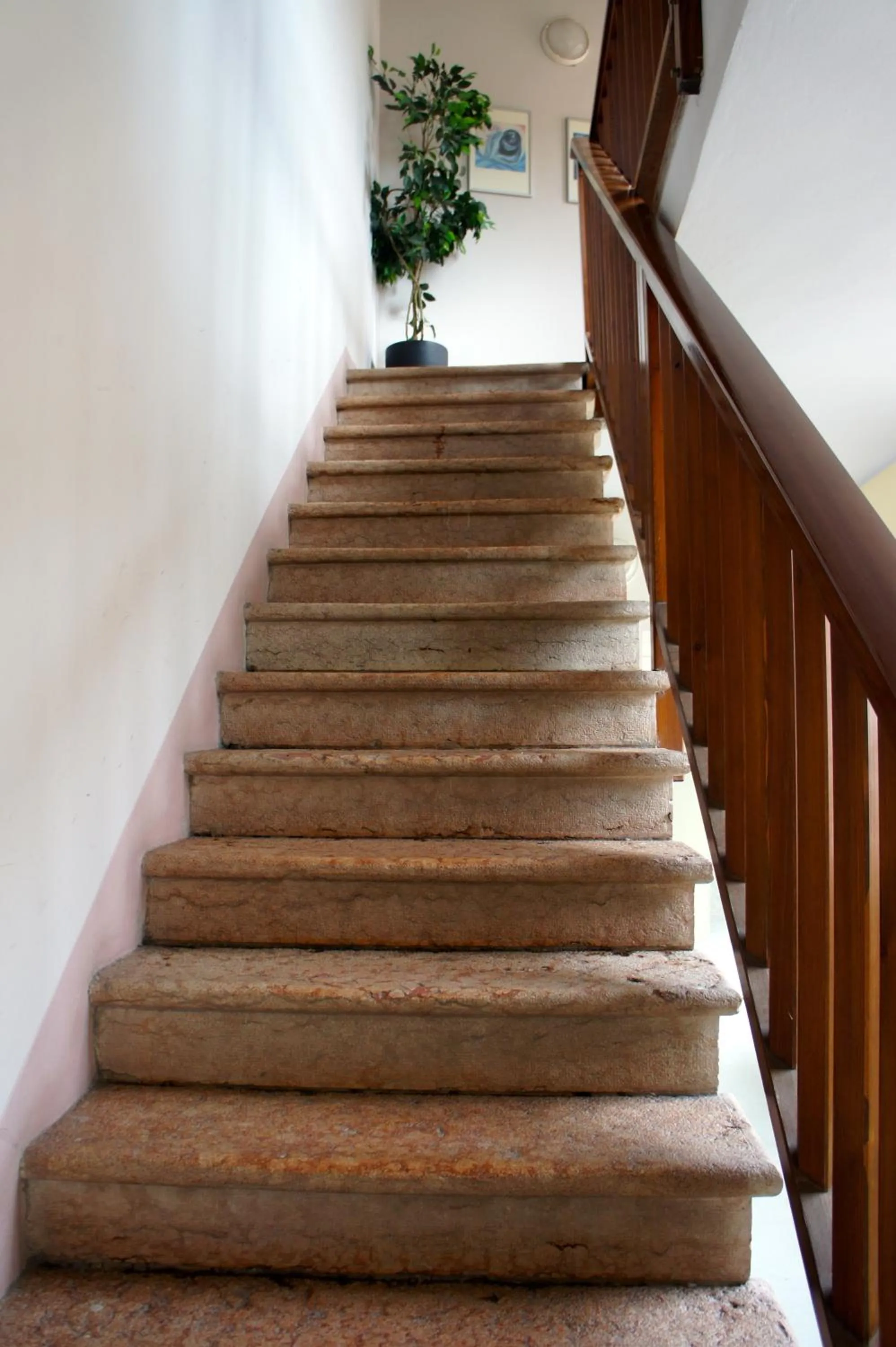 Photo of the whole room in Vecchia Mori