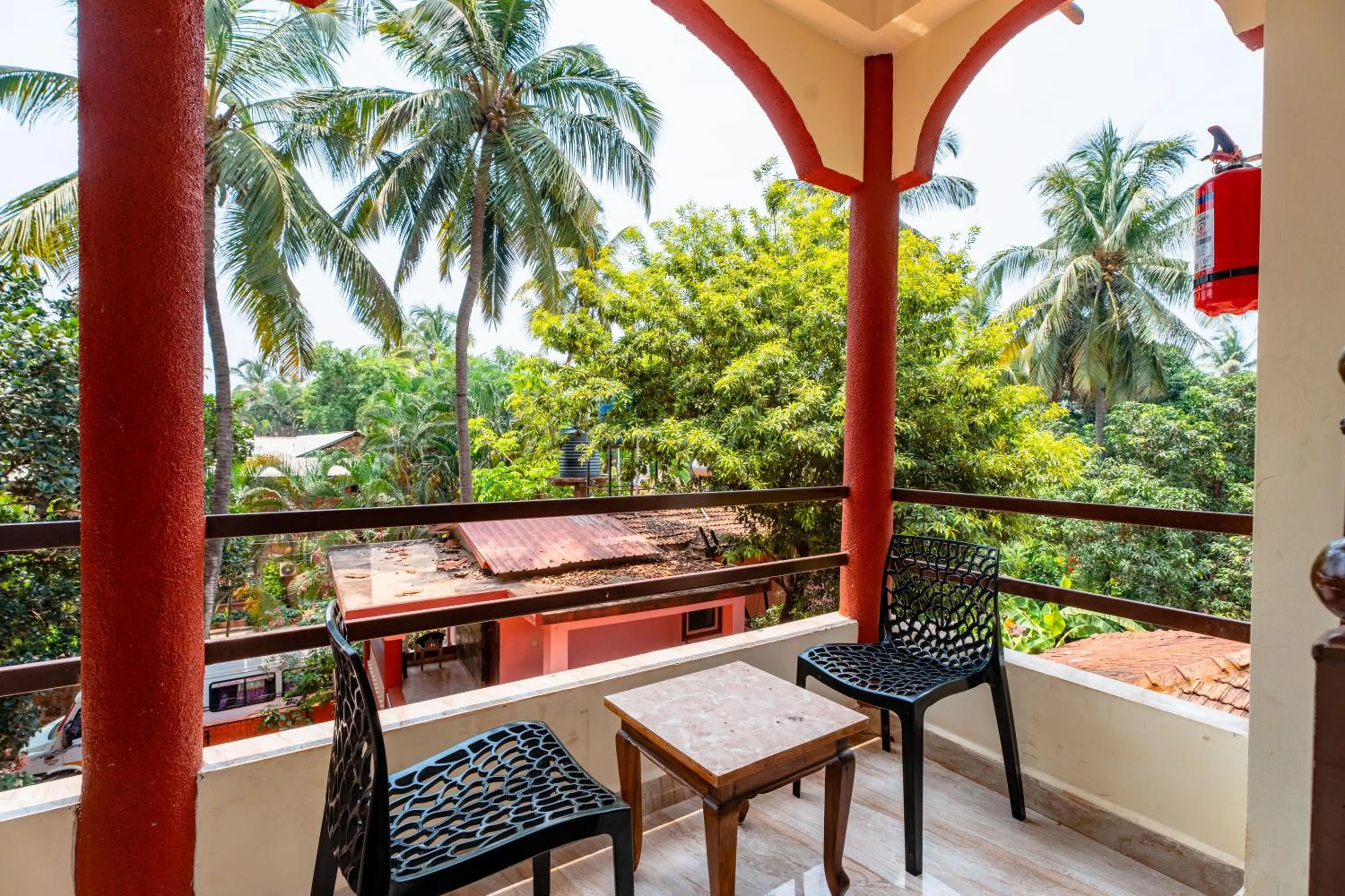 Day in Tropical Beach Walk