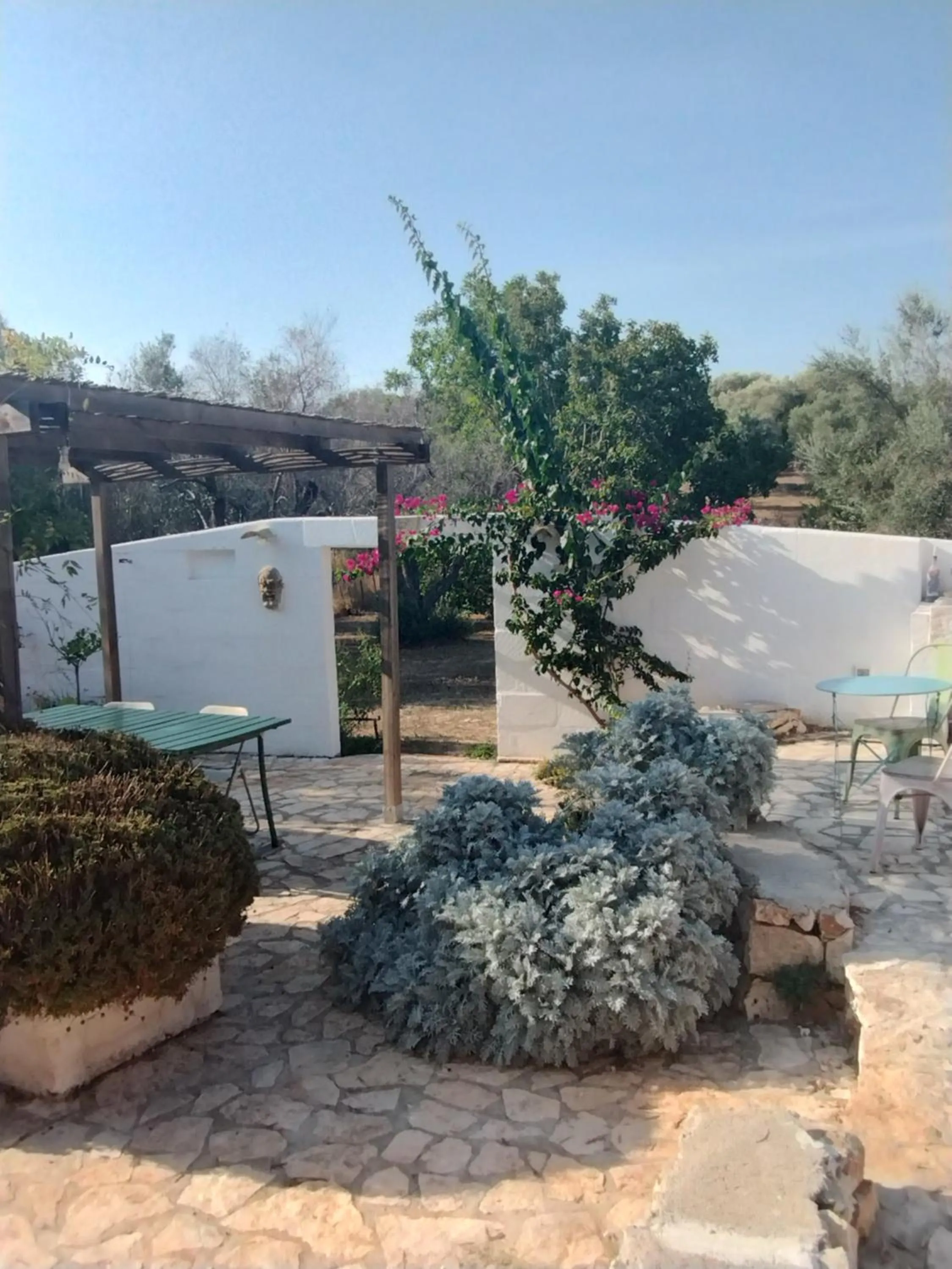 Day in B&B Giovannarolla Green House