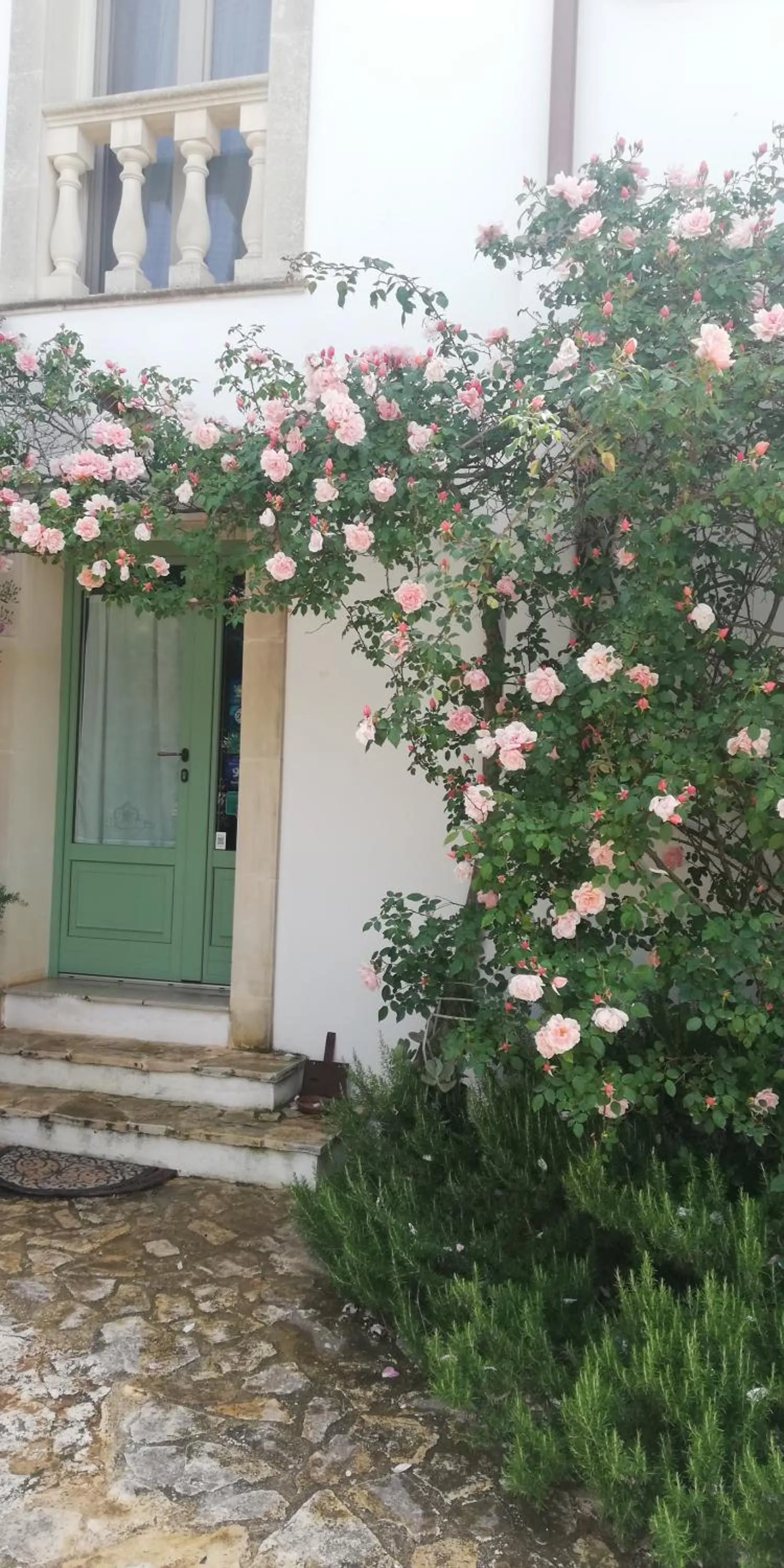 Property building in B&B Giovannarolla Green House