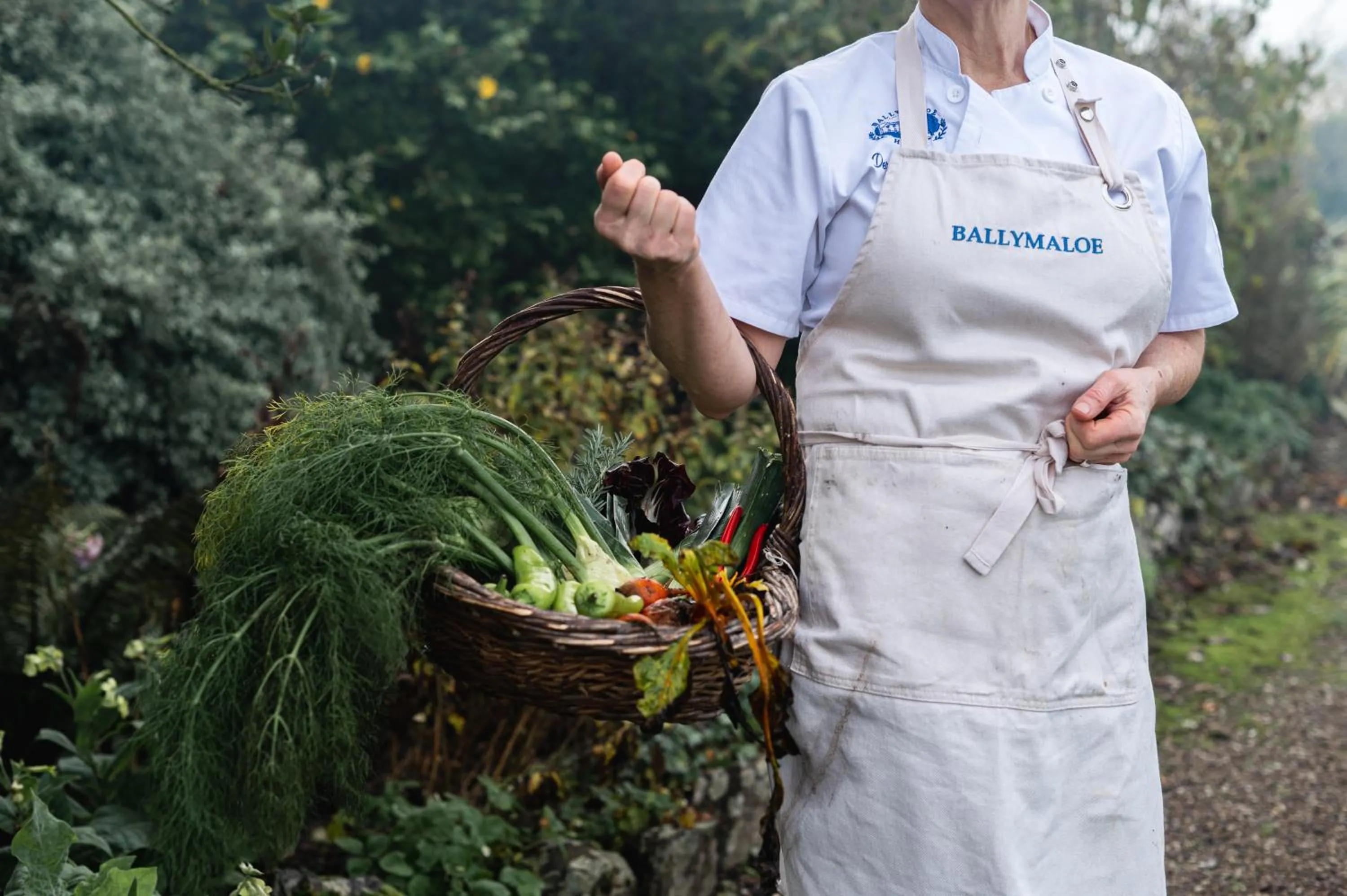kitchen in Ballymaloe House Hotel