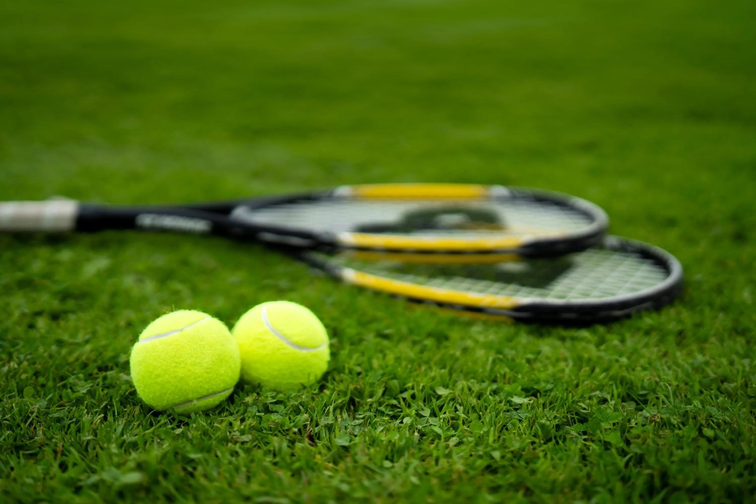 Tennis court in Ballymaloe House Hotel