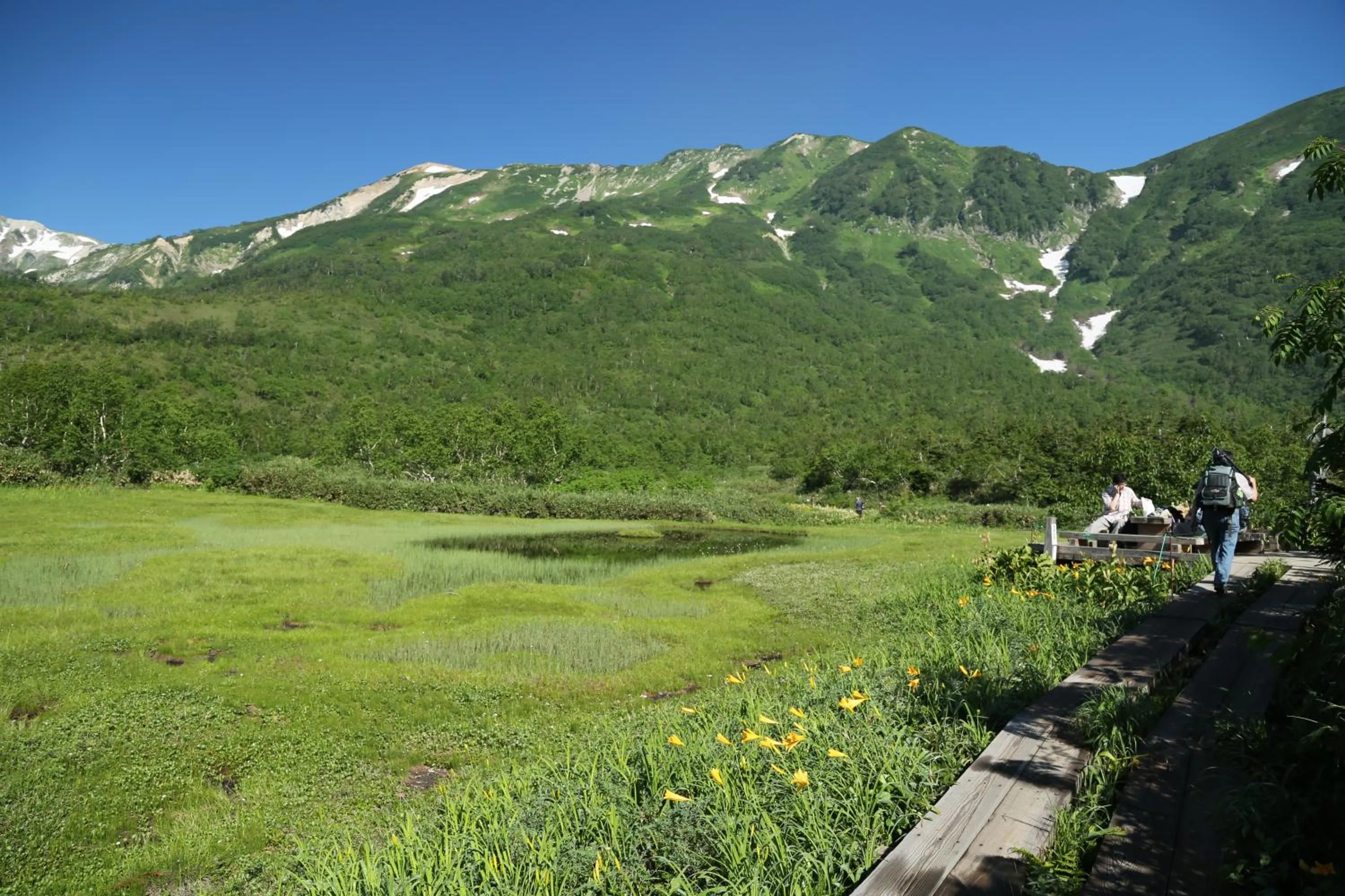 Summer in Hotel Hakuba Berghaus