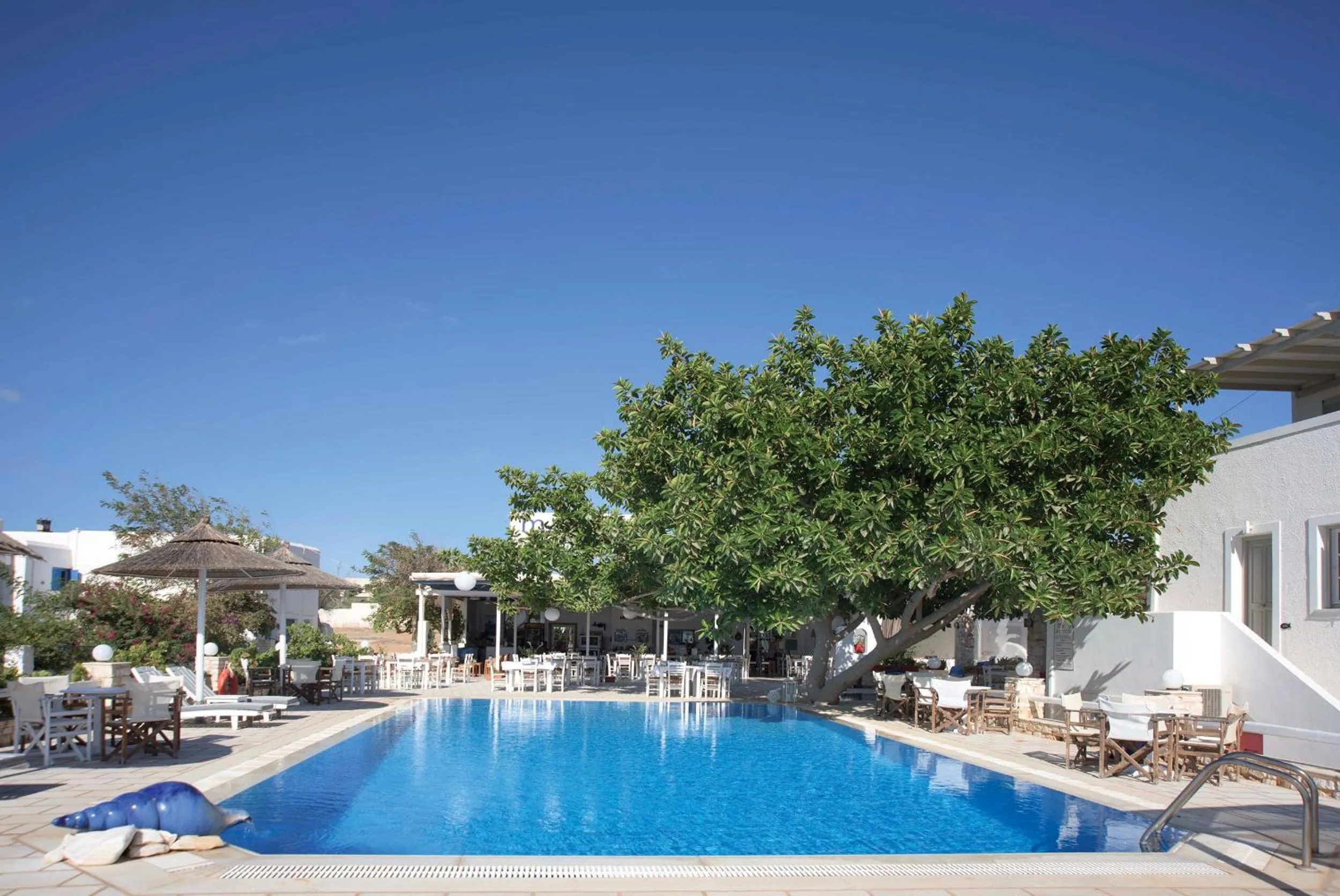 Swimming pool in Margarita Studios Ambelas